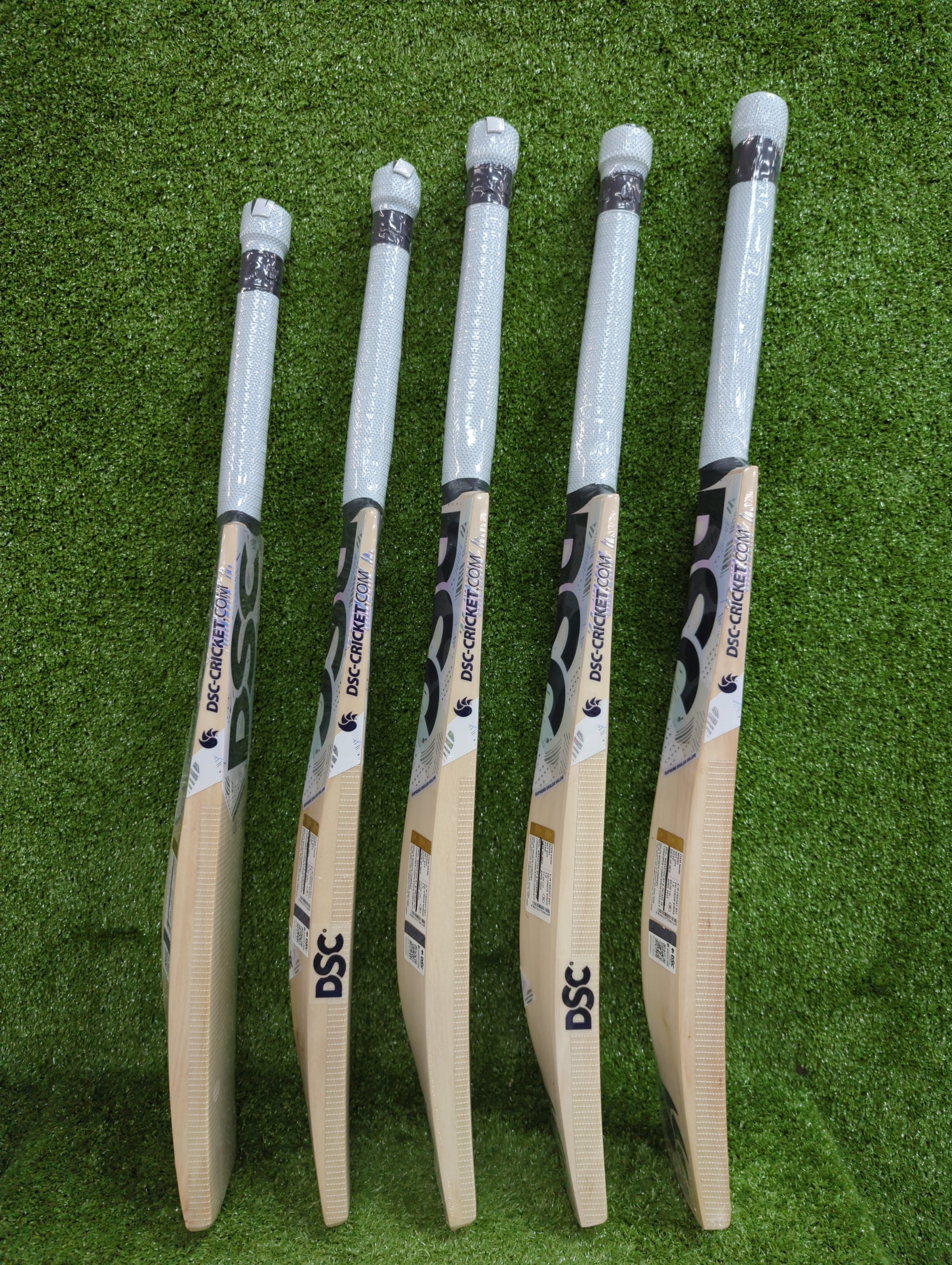 DSC Condor Winger Junior / Youth English Willow Cricket Bat