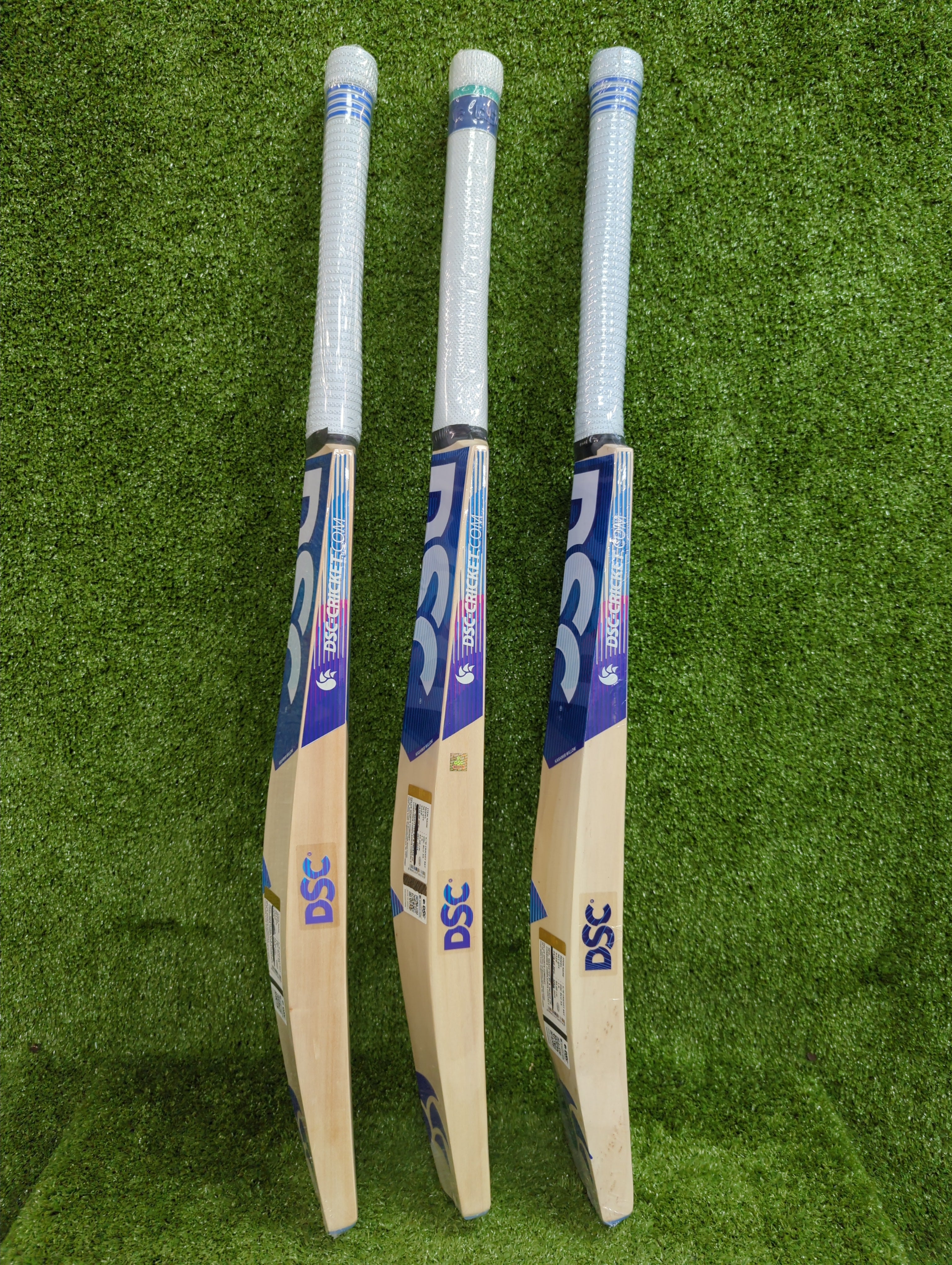 DSC Blu 55 Kashmir Willow Cricket Bat