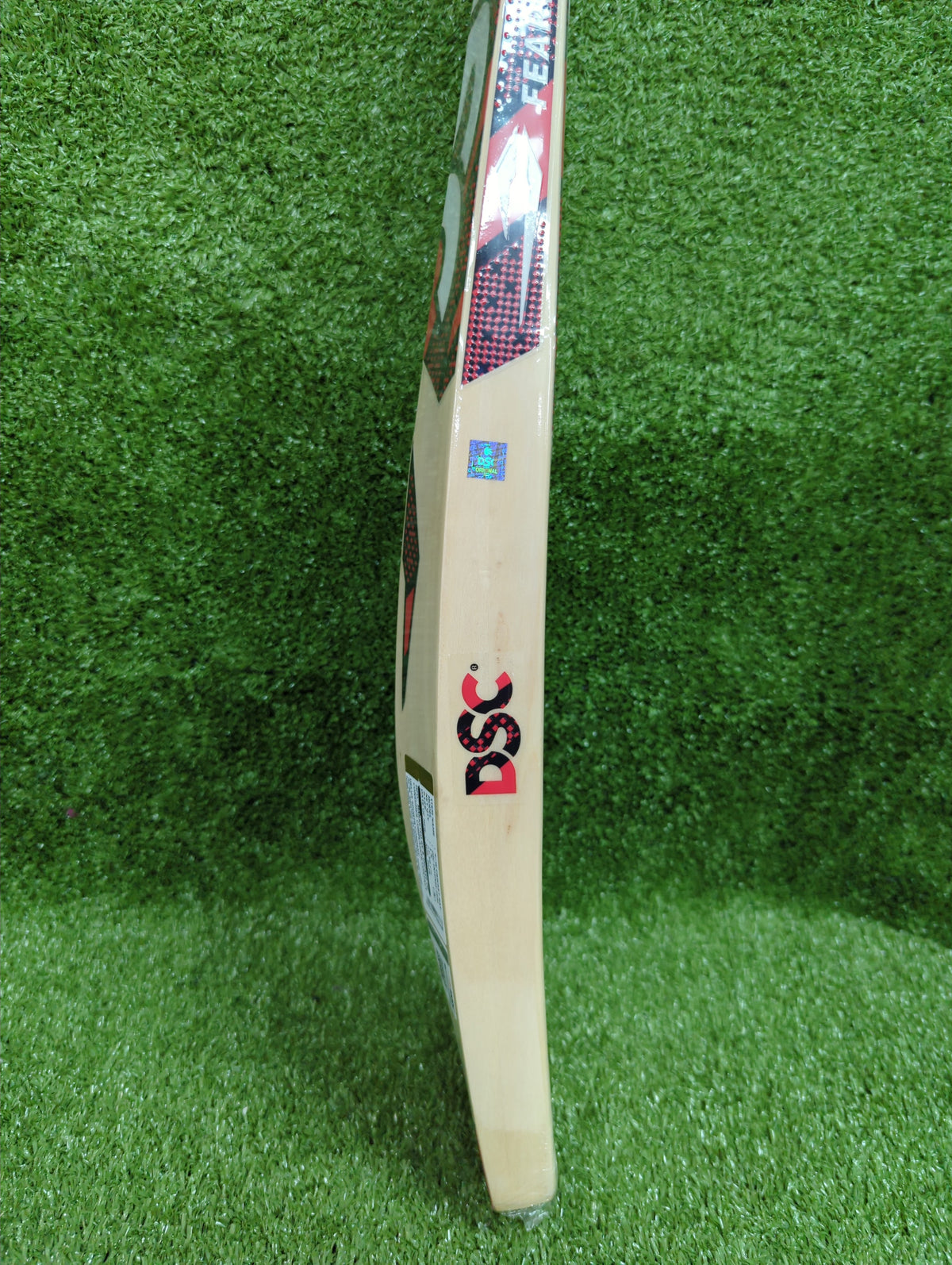 DSC Intense Zeal Junior / Youth Kashmir Willow Cricket Bat DSC