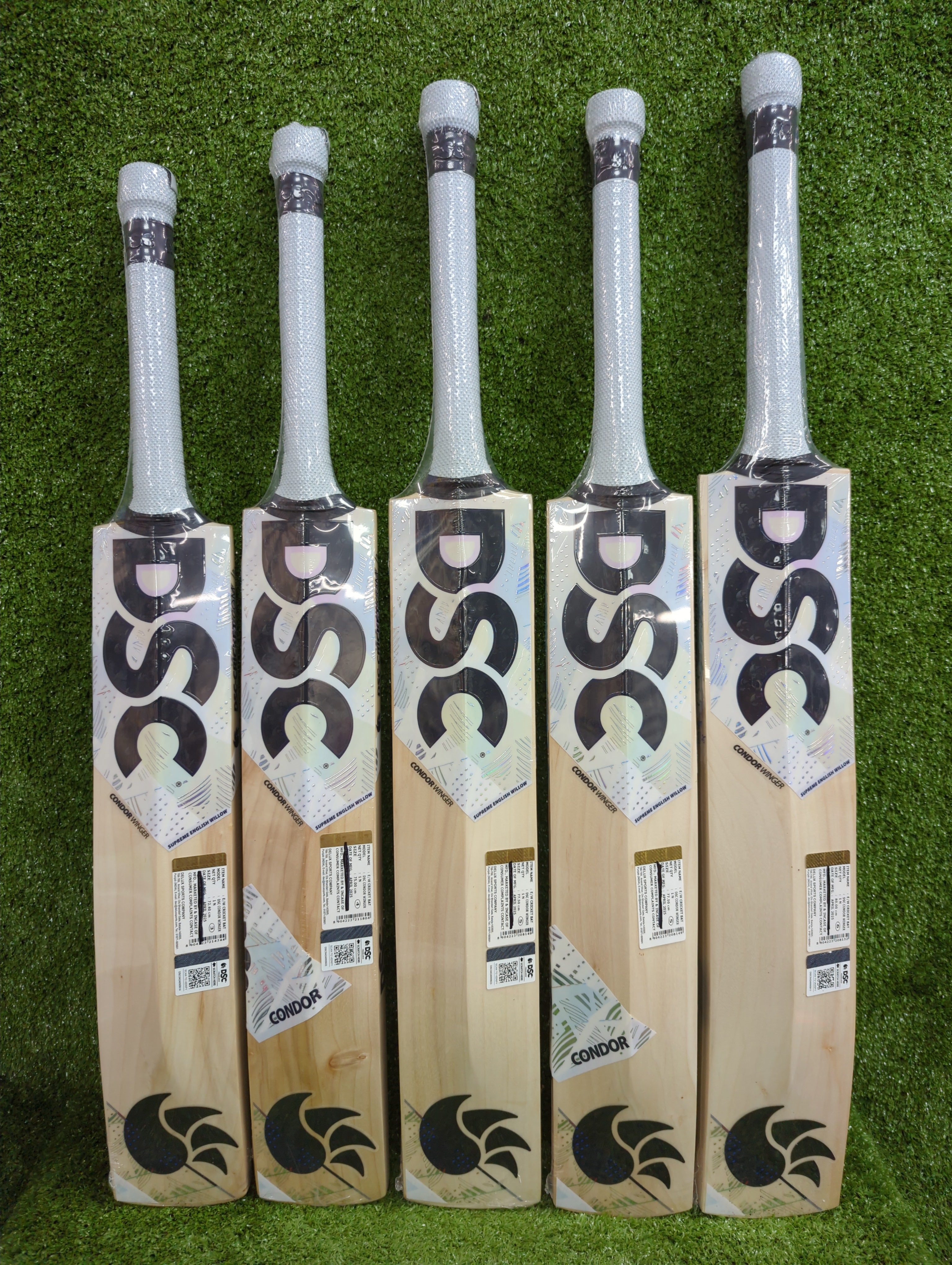 DSC Condor Winger Junior / Youth English Willow Cricket Bat