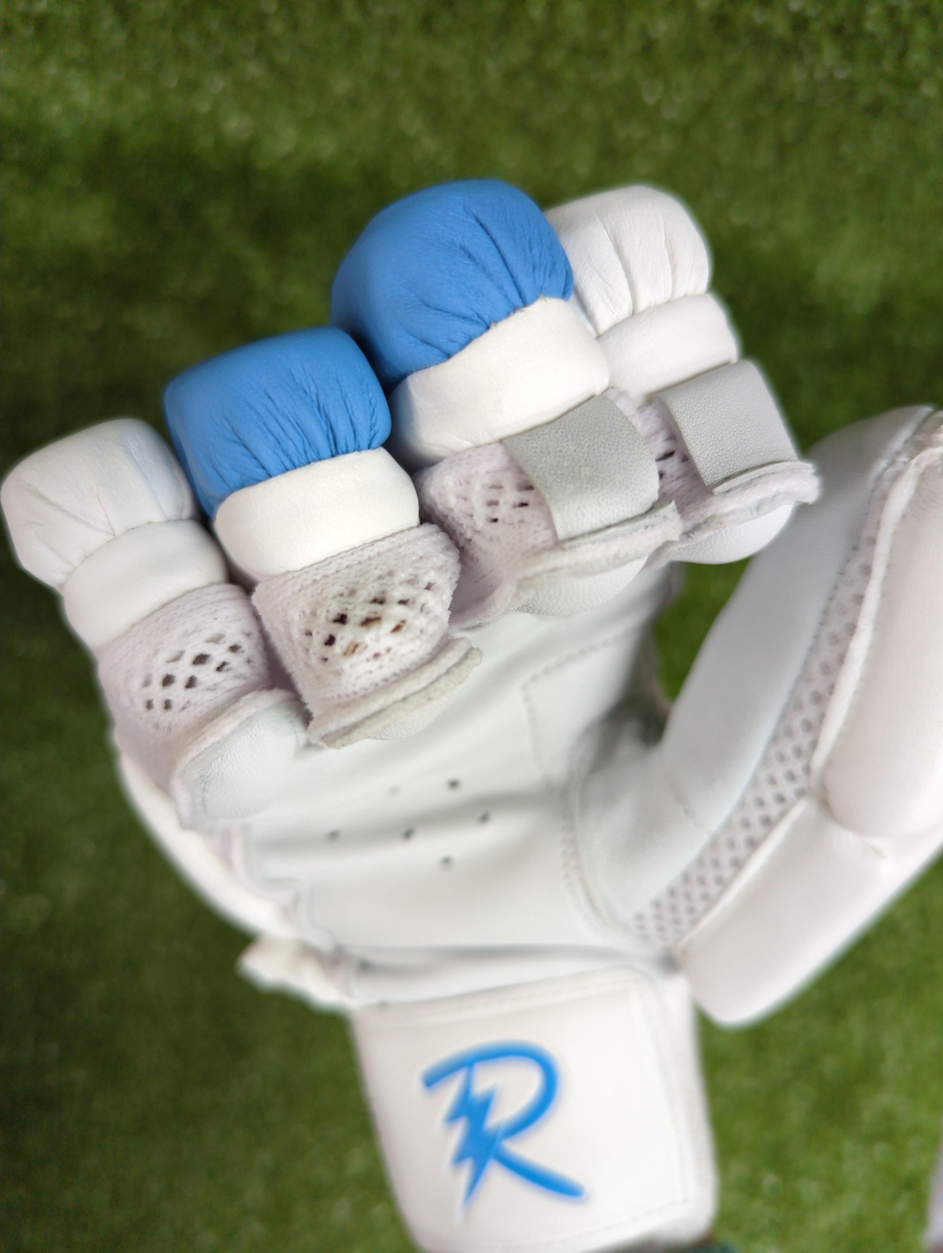 Raydn Master Junior / Youth Cricket Batting Gloves