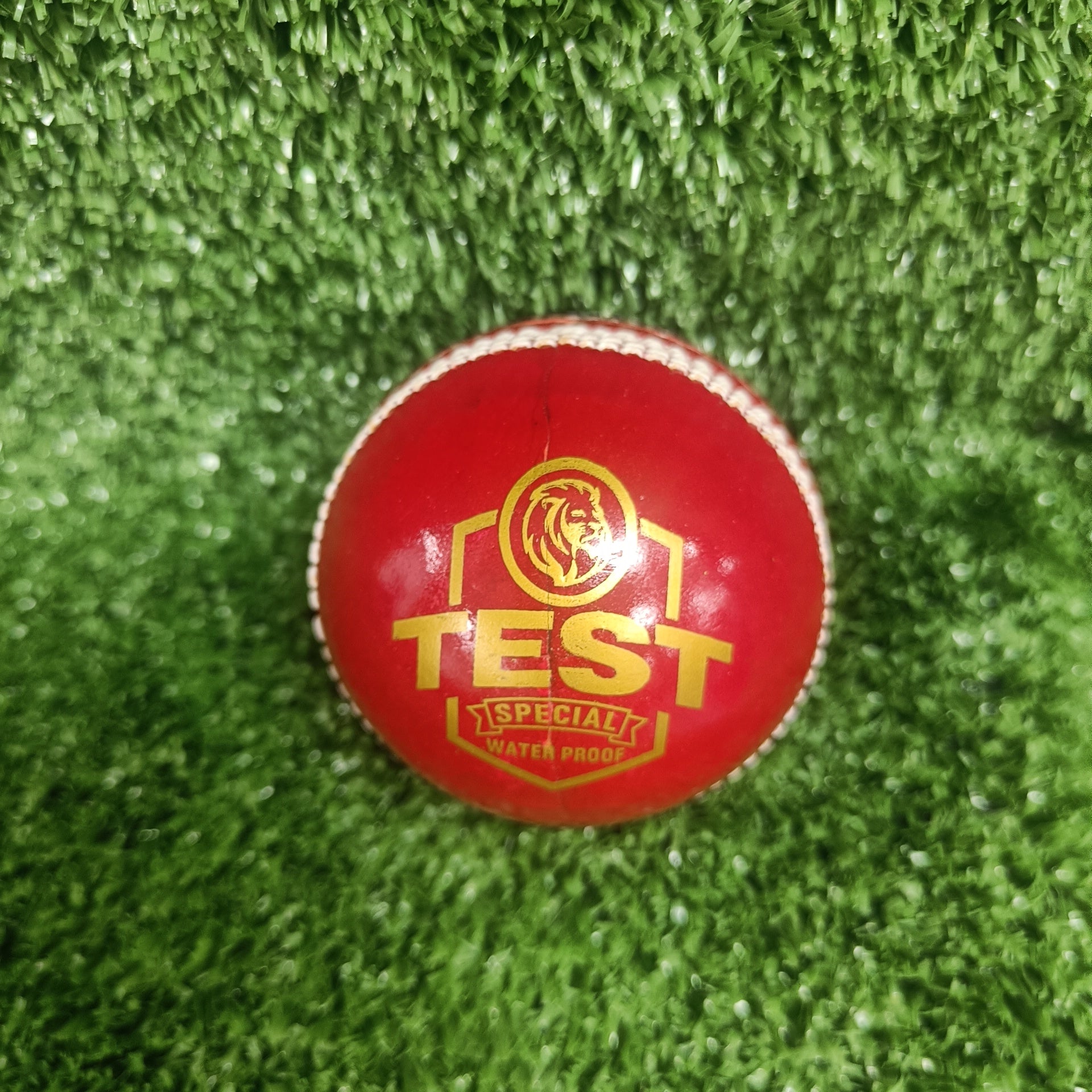 Raydn Test Red Leather Cricket Ball