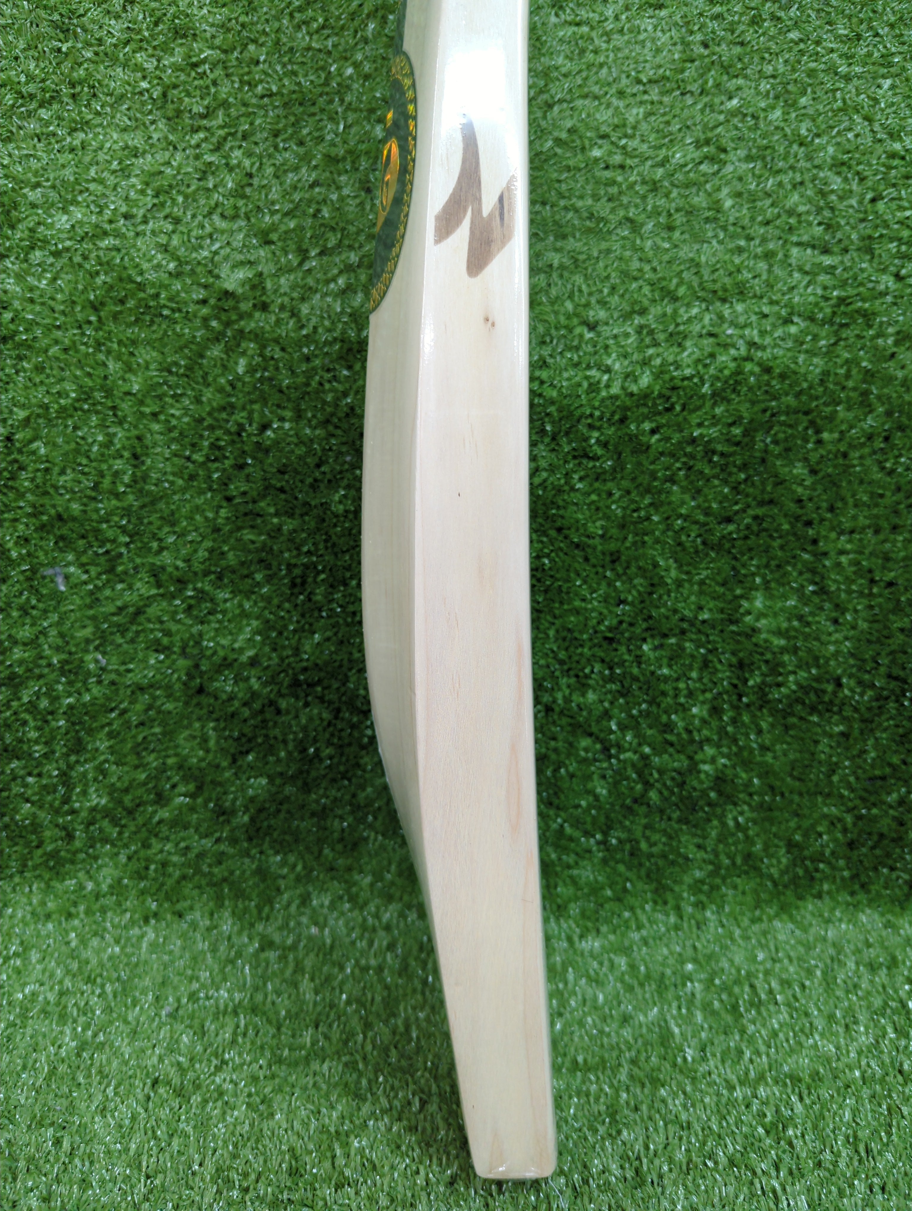 SG King Cobra Arc 3.0 English Willow Cricket Bat SG