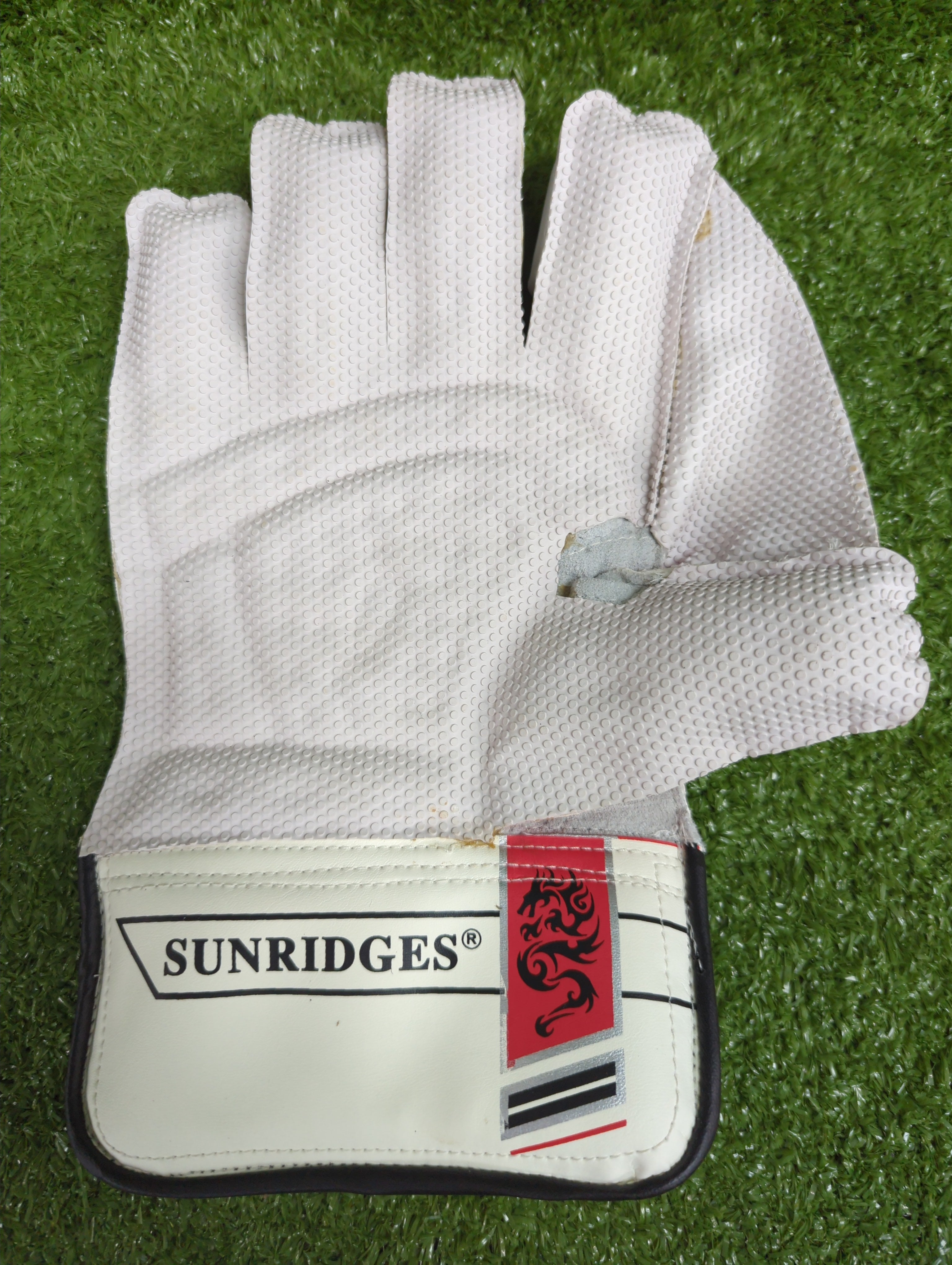 SS Dragon Junior / Youth Wicket Keeping Gloves by SS - close-up detail - TopCricketStore