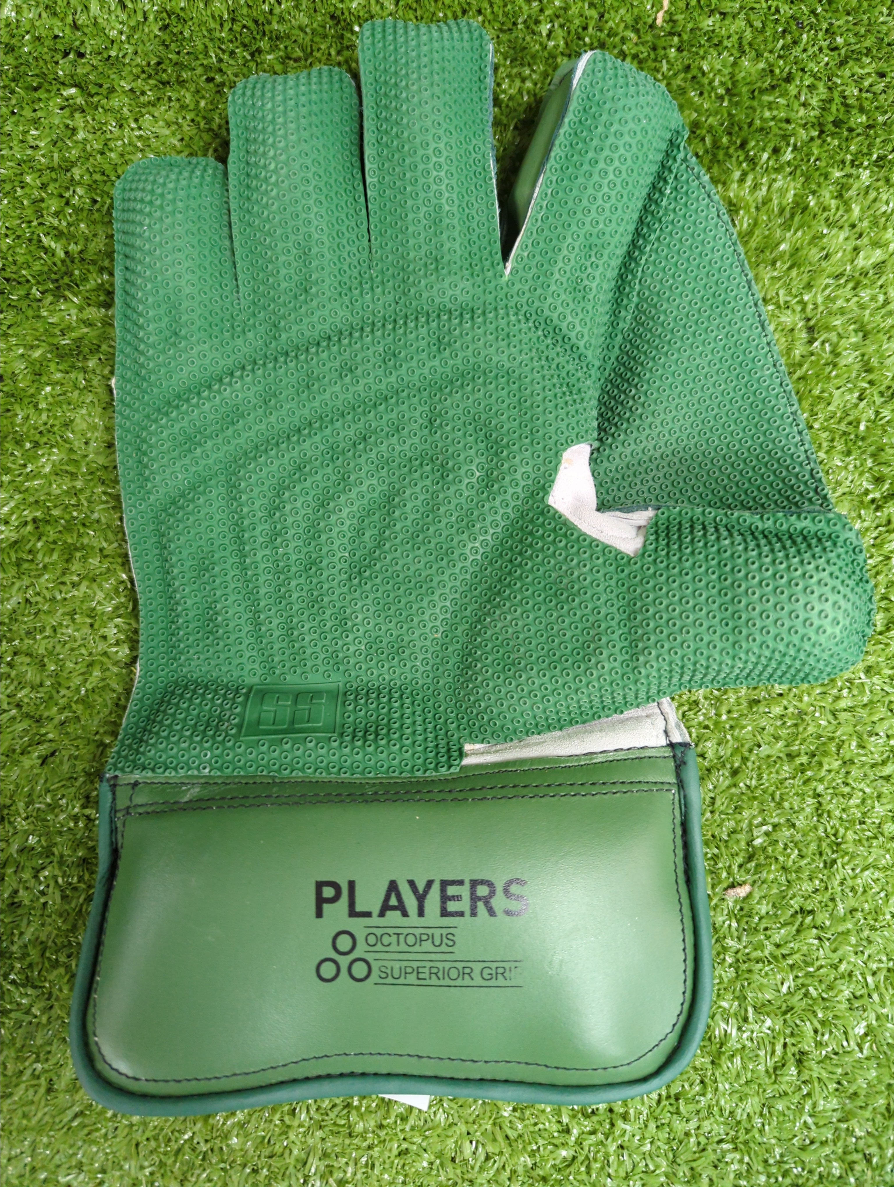 SS Players Cricket Wicket Keeping Gloves (Green)