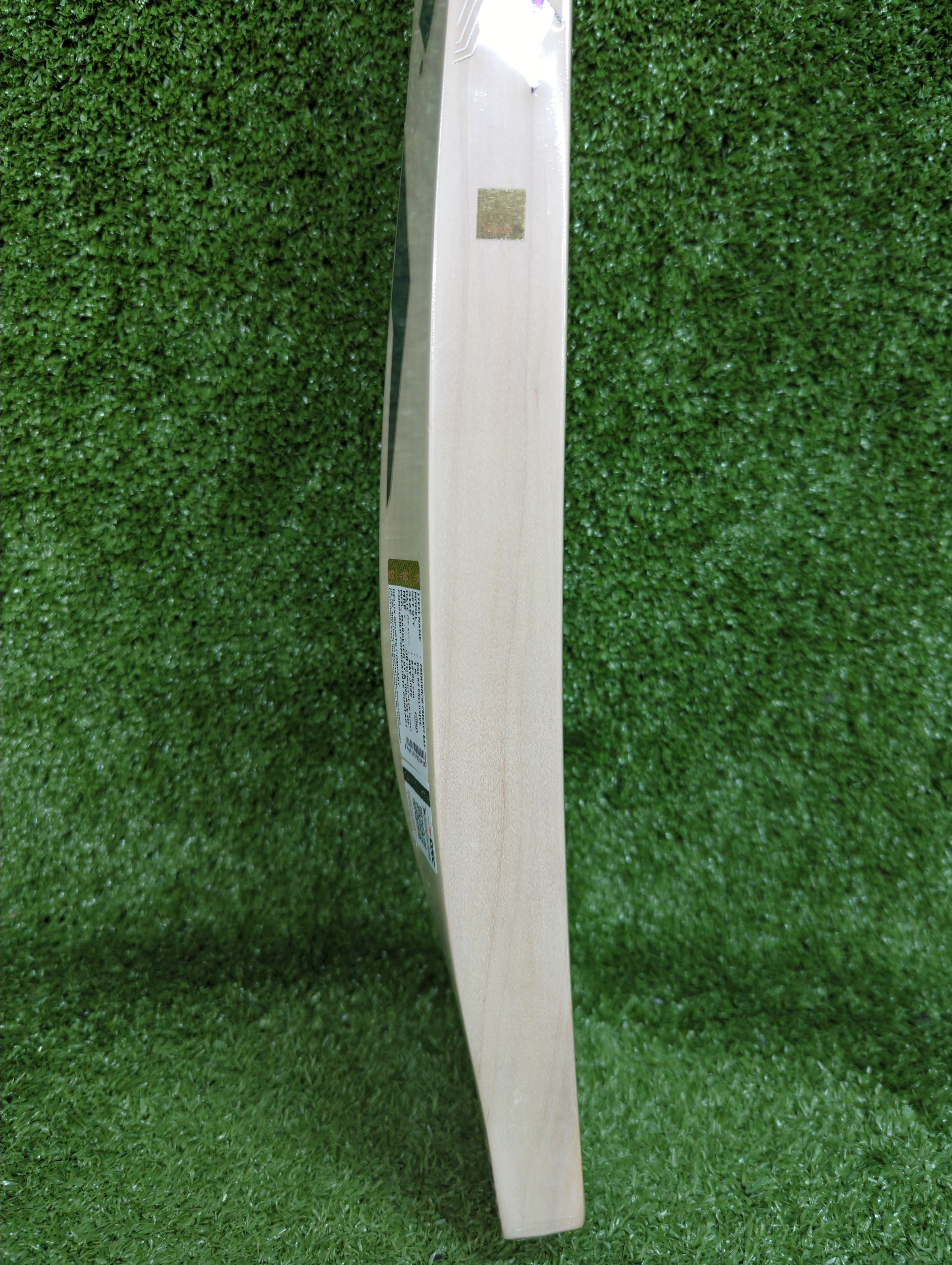 DSC RS Exclusiv Kashmir Willow Cricket Bat - Harrow DSC