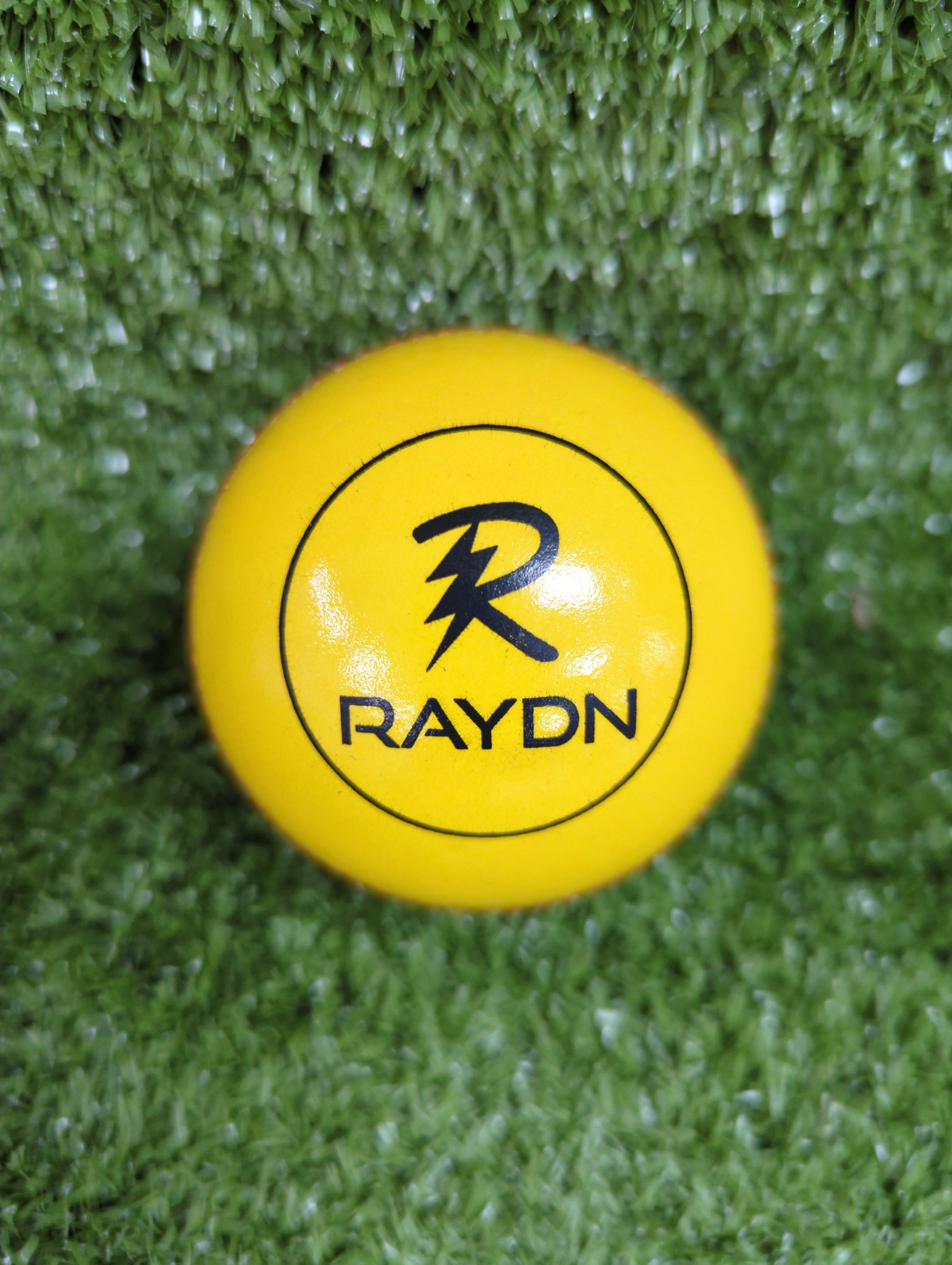 Raydn Yellow Indoor Premium Cricket Leather Ball