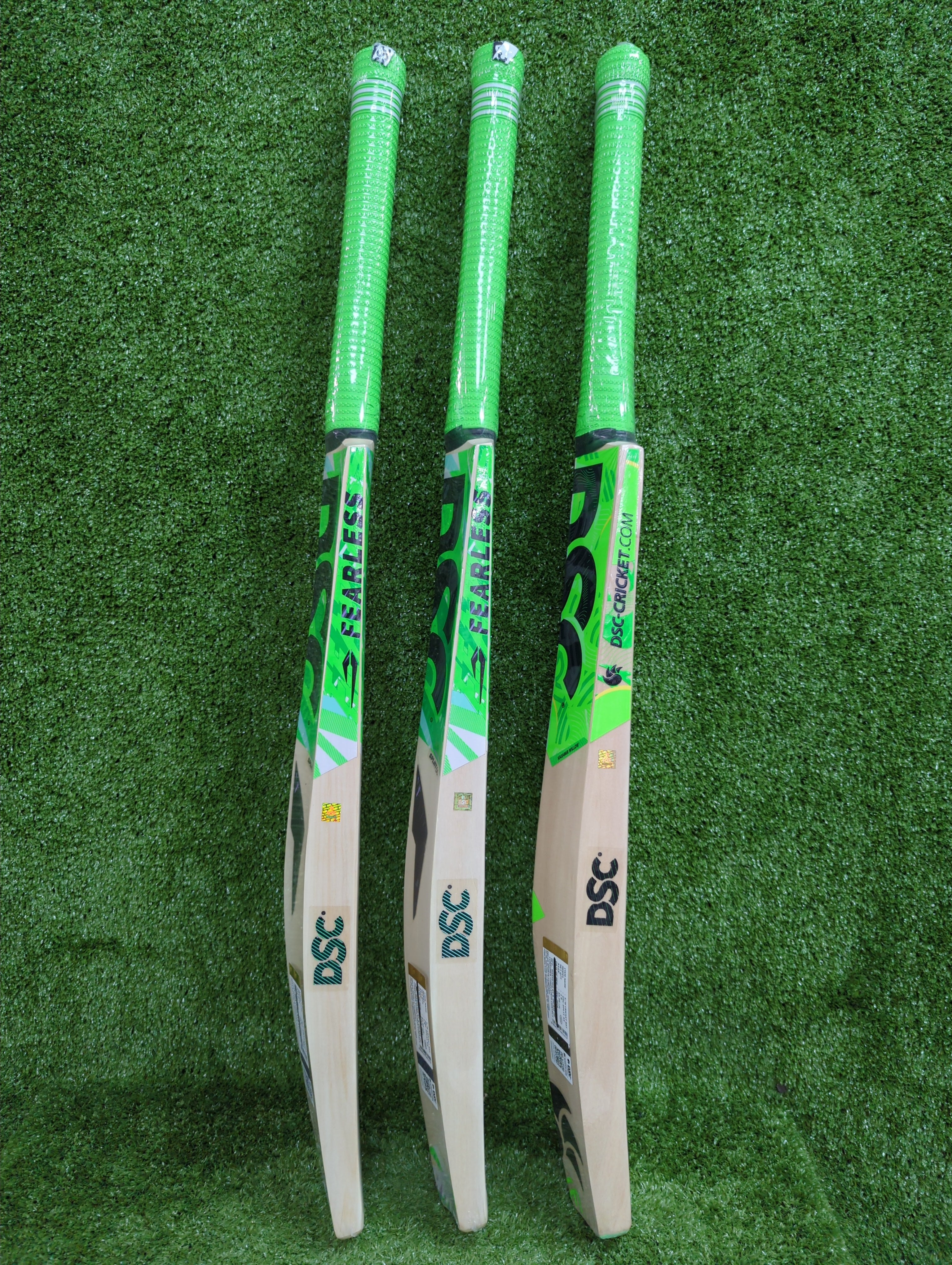 DSC SPLIT 55 Kashmir Willow Cricket Bat