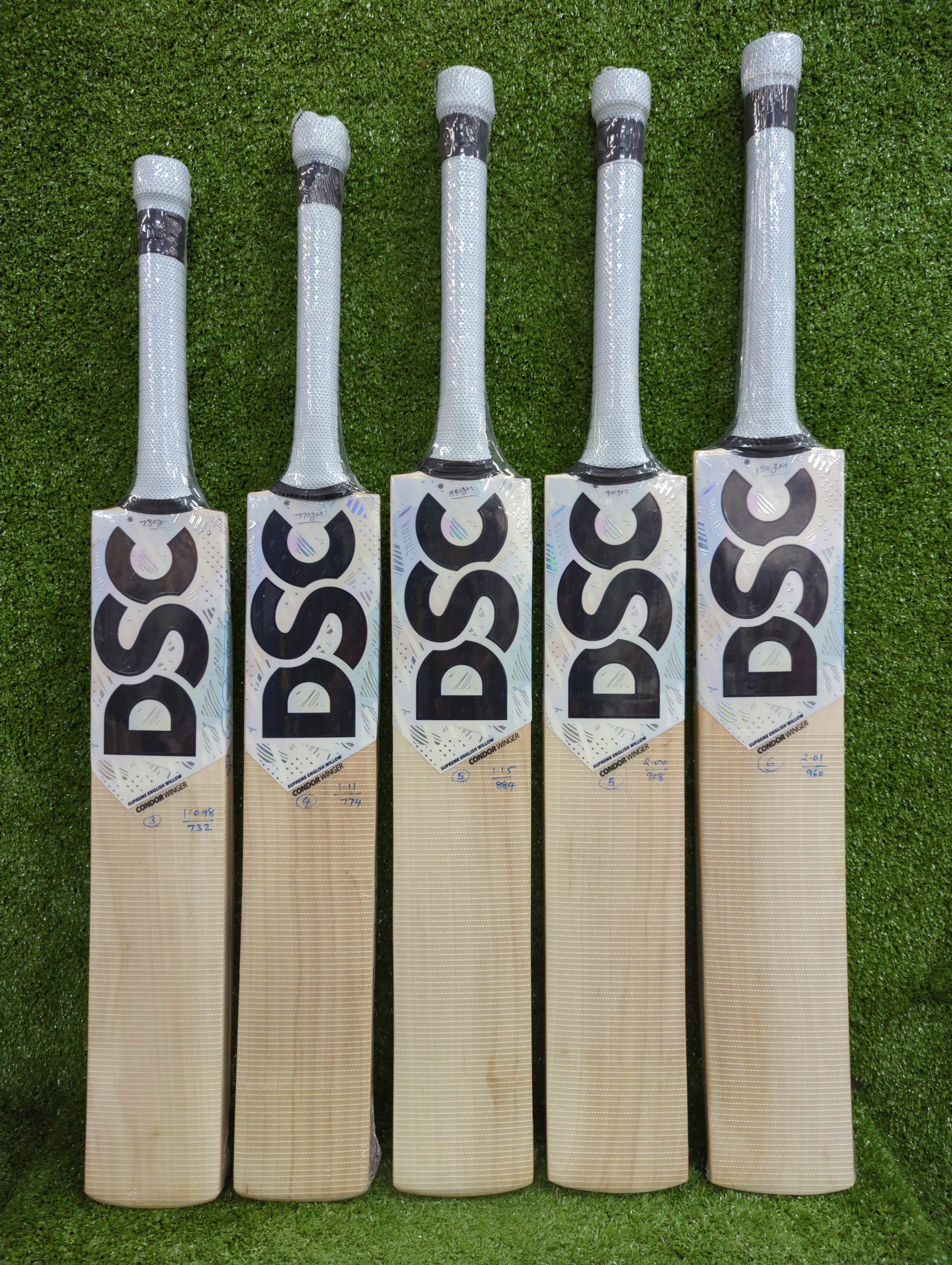 DSC Condor Winger Junior / Youth English Willow Cricket Bat
