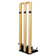 GM Cricket Spring Back Stumps