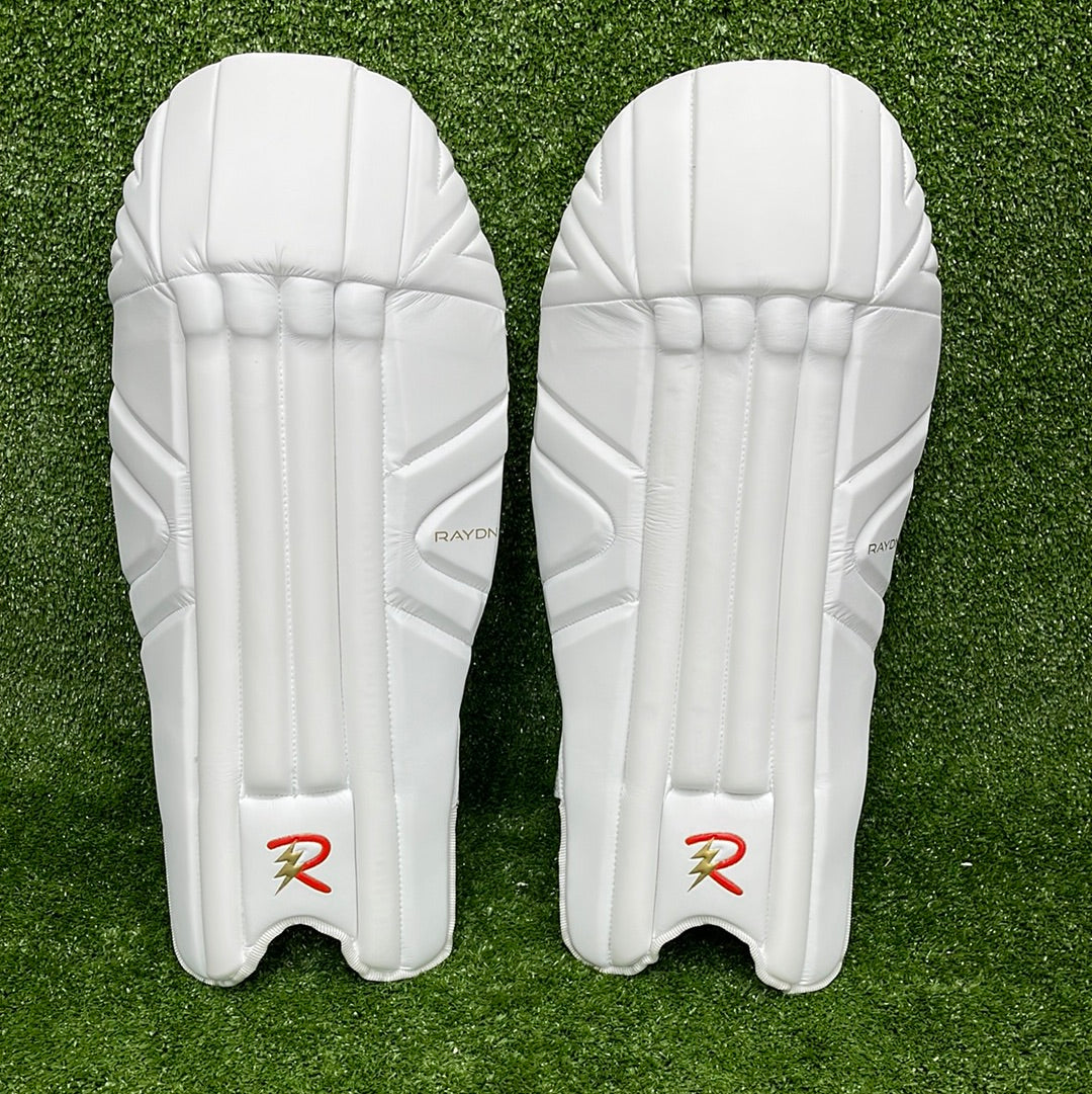 Raydn Cricket Youth Wicket Keeping Pads