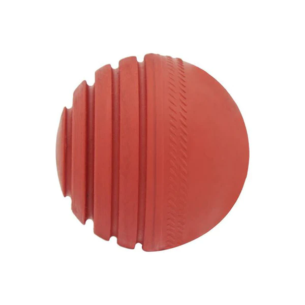 EM Wobble Cricket Training Ball