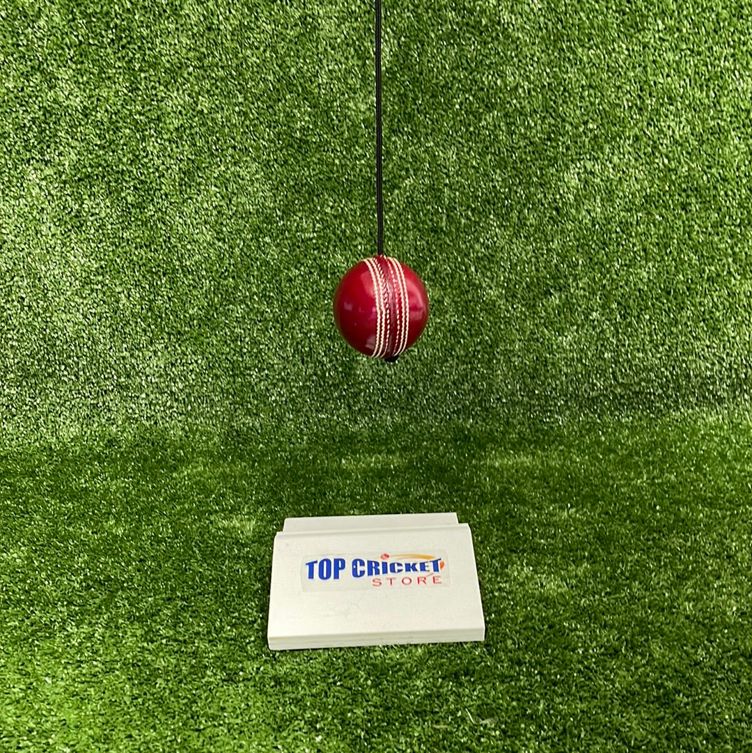 Raydn Hanging String Leather Cricket Training Ball by Raydn - back view - TopCricketStore