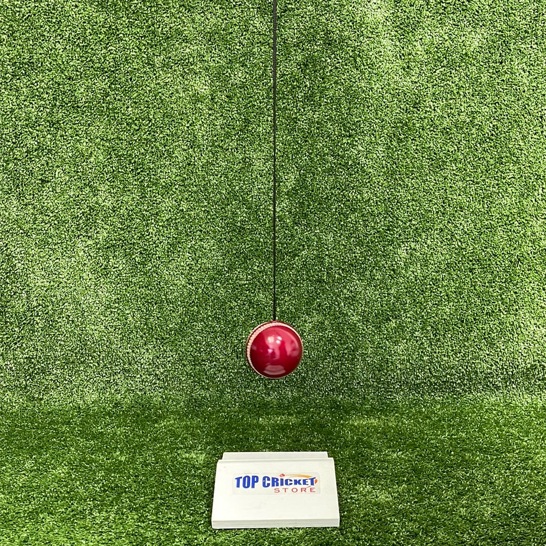 Raydn Hanging String Leather Cricket Training Ball