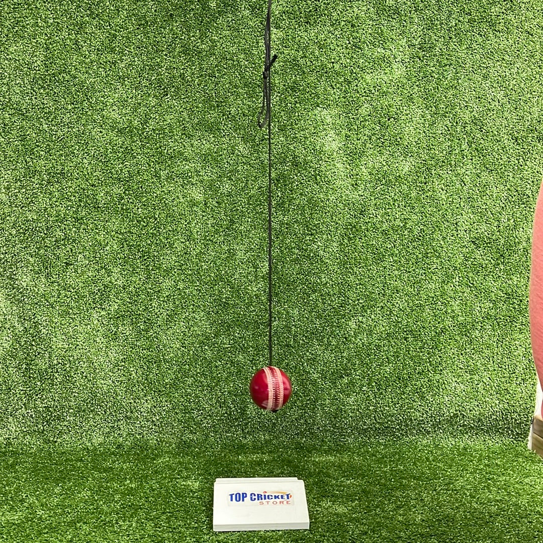 Raydn Hanging String Leather Cricket Training Ball by Raydn - packaging view - TopCricketStore