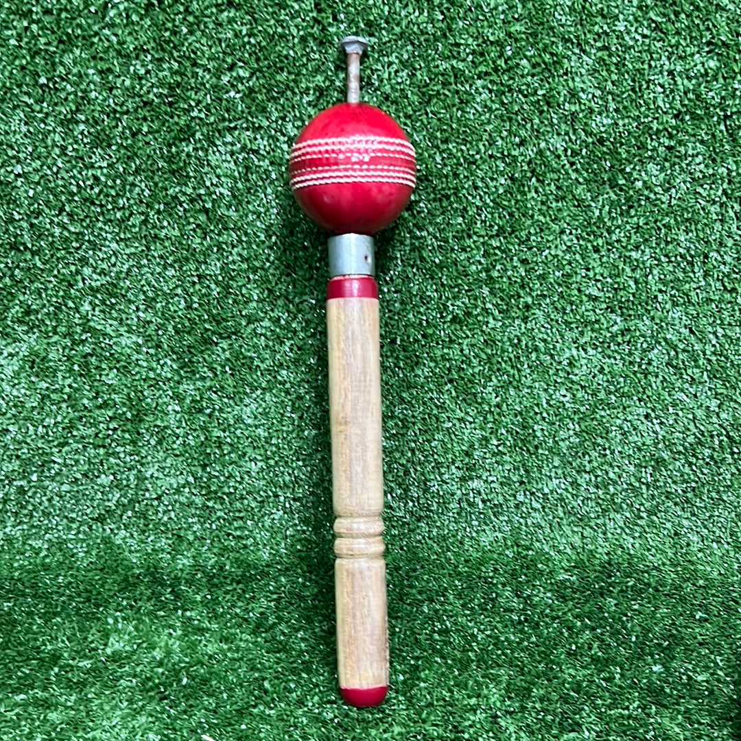 Raydn Revolution Ball for Fast Bowlers and Spinners