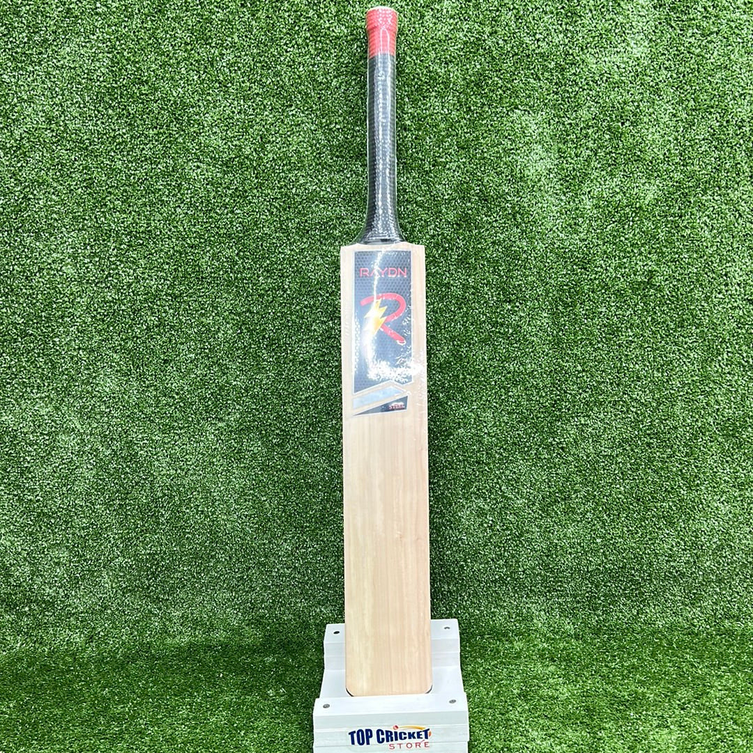 Raydn Steel (MS Dhoni Profile) Kashmir Willow Light Weight Junior Tennis Ball Cricket Bat