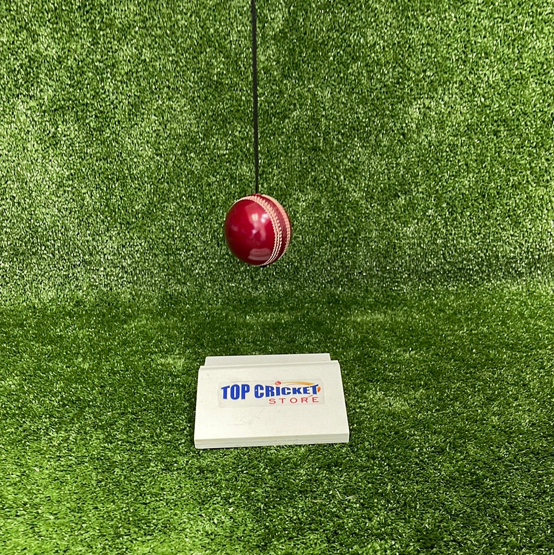 Raydn Hanging String Leather Cricket Training Ball