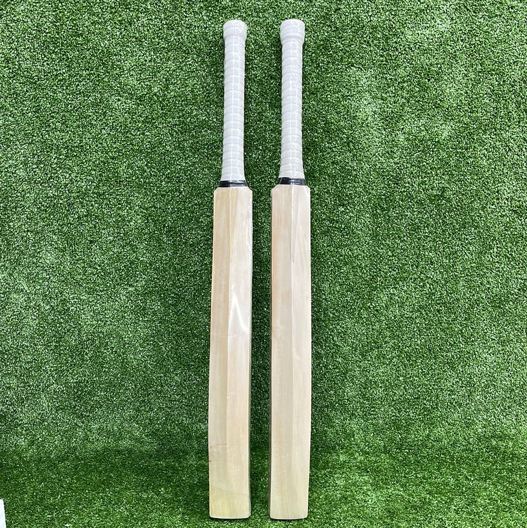 Raydn Middling Technical Leather Ball Practice Adult Cricket Bat (iBat)