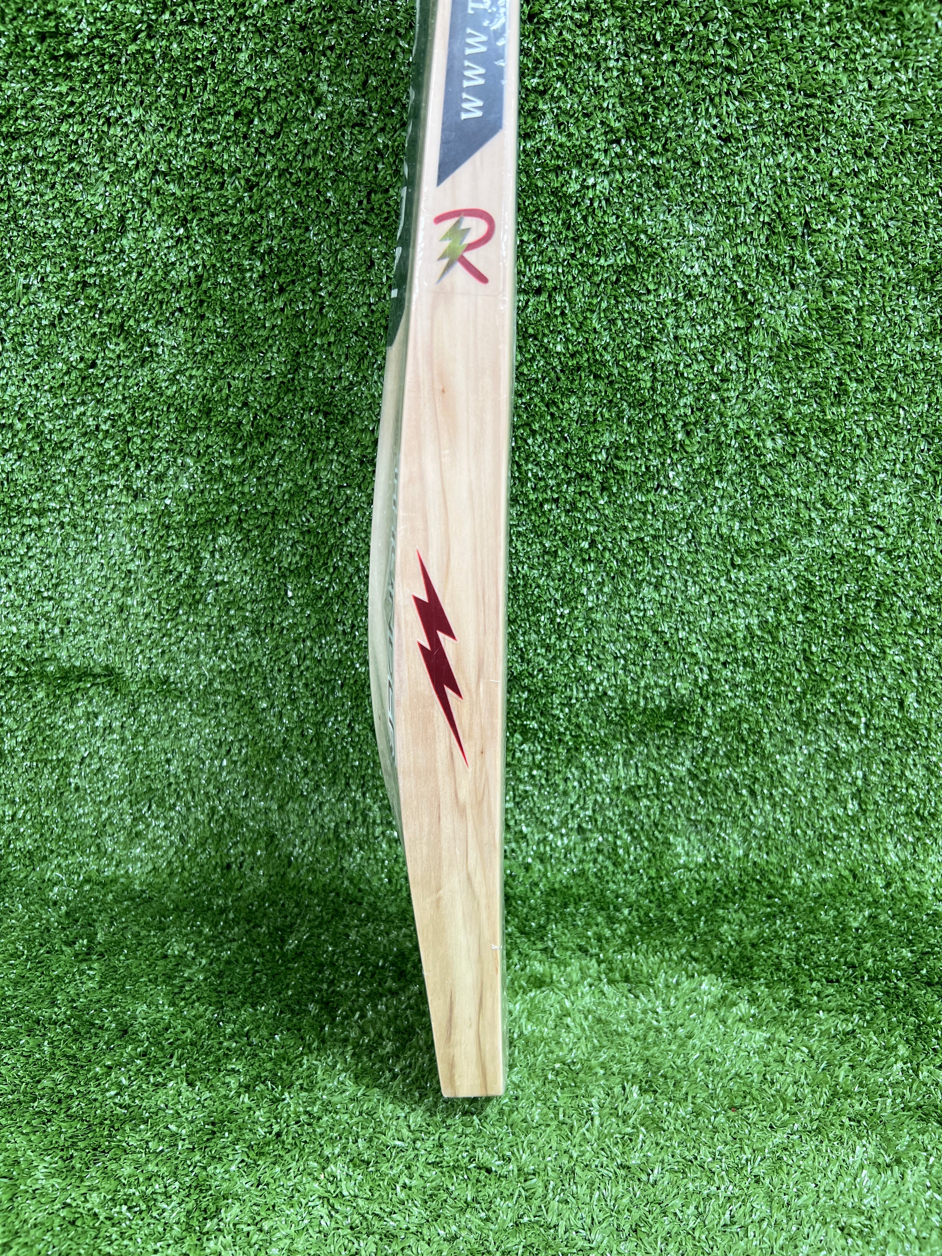 Raydn Grade 4 English Willow Cricket Bat