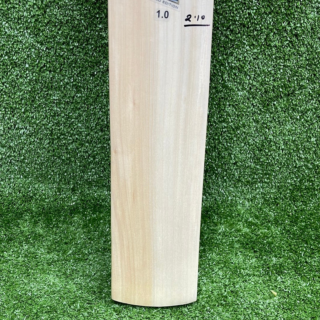 EM GT 1.0 Leather Ball Selected Willow Cricket Bat