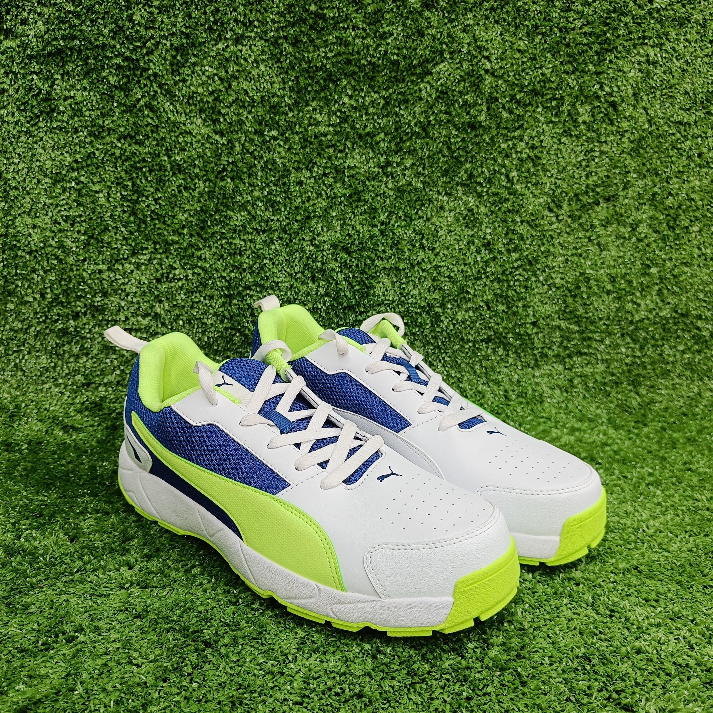 Puma cricket sales shoes blue