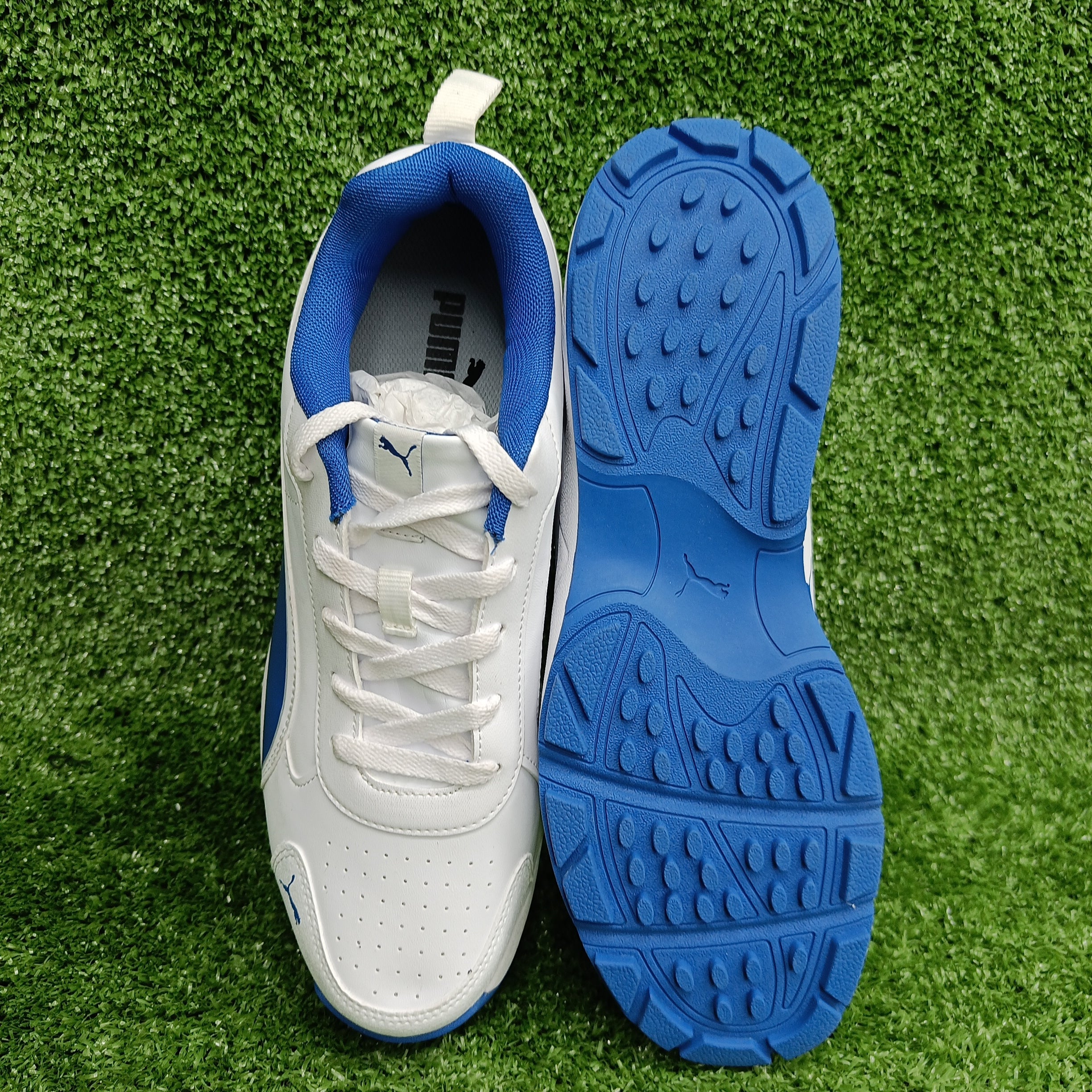 Puma White/ Blue Team Royal Cricket Shoes