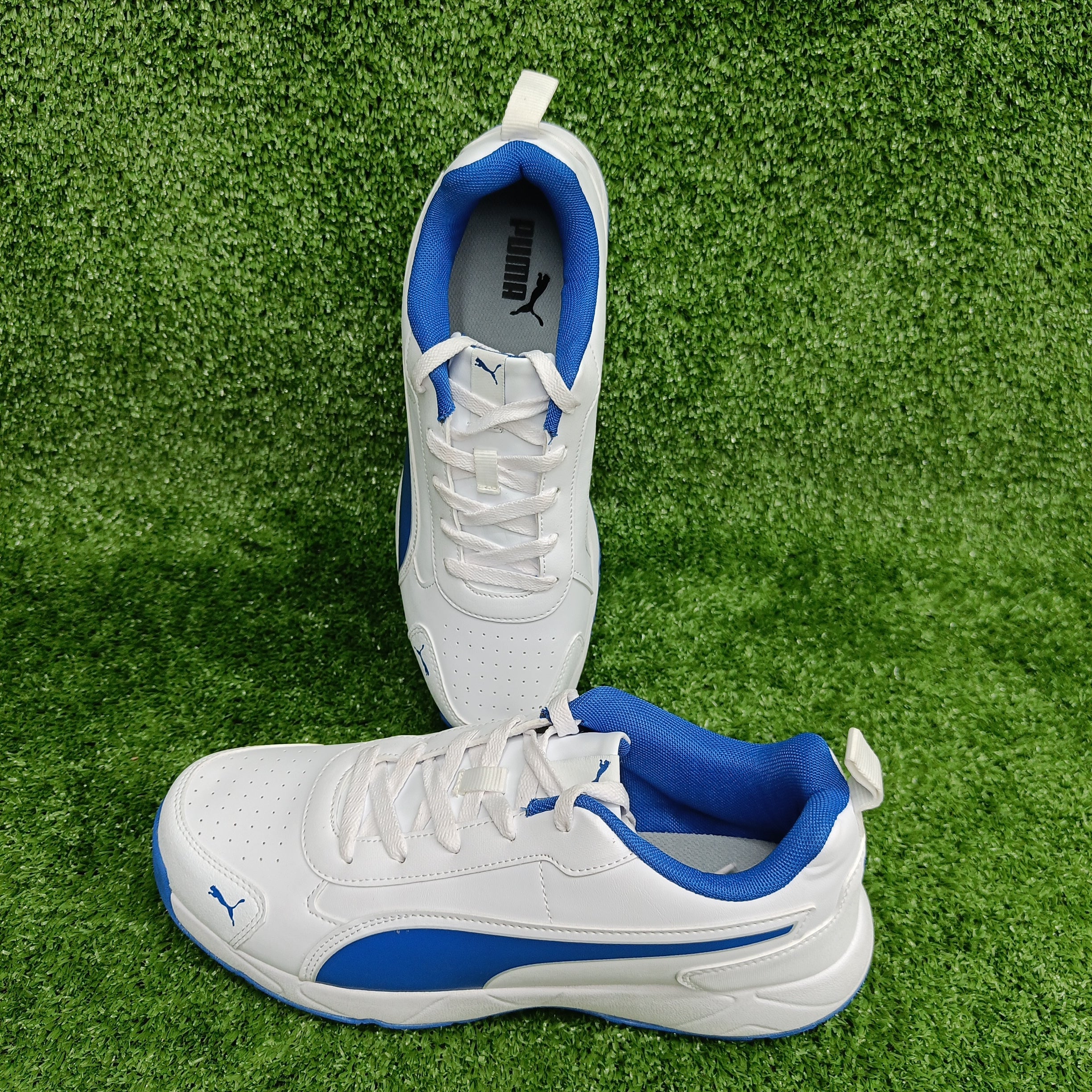 Puma White/ Blue Team Royal Cricket Shoes