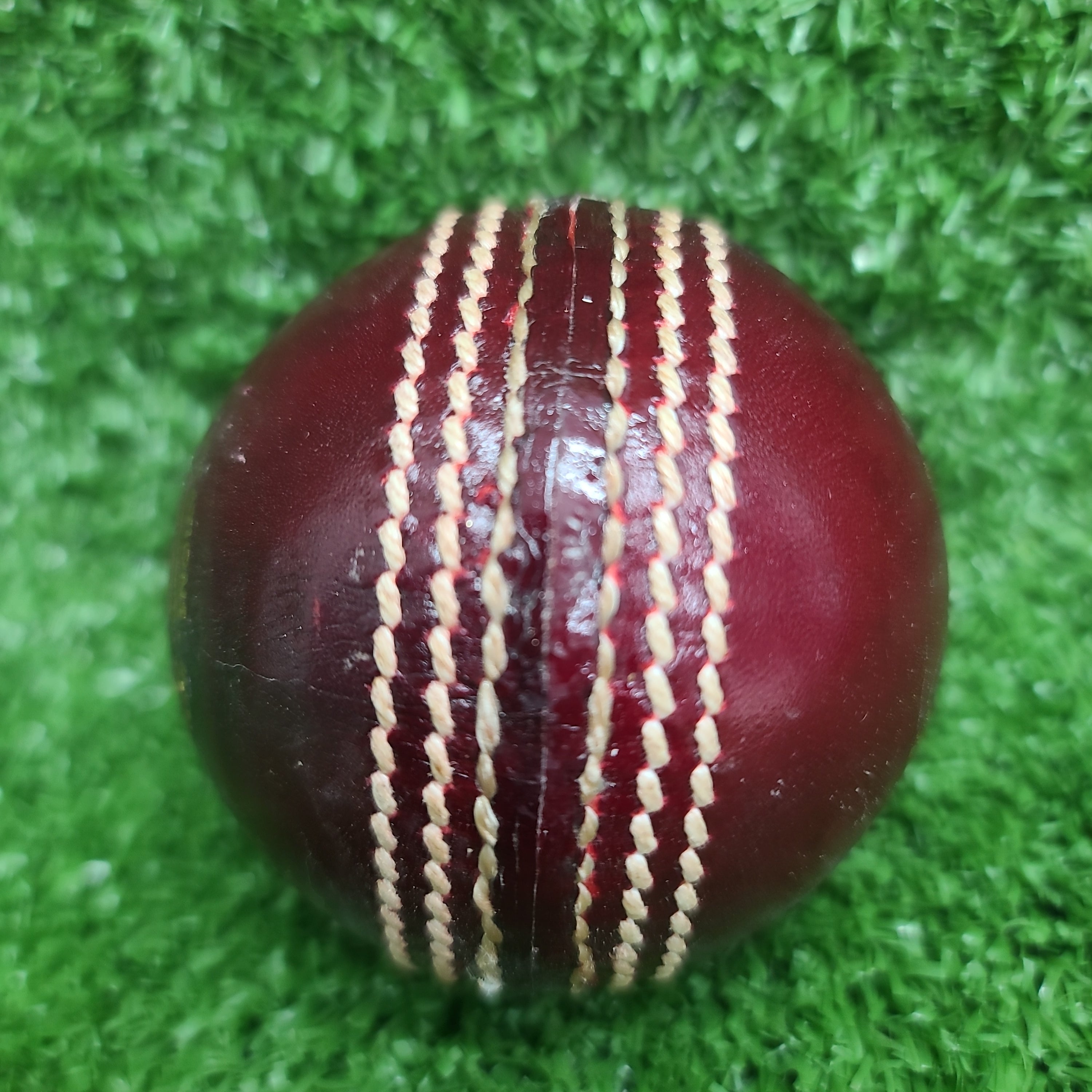 Kookaburra Speed Red Cricket Ball