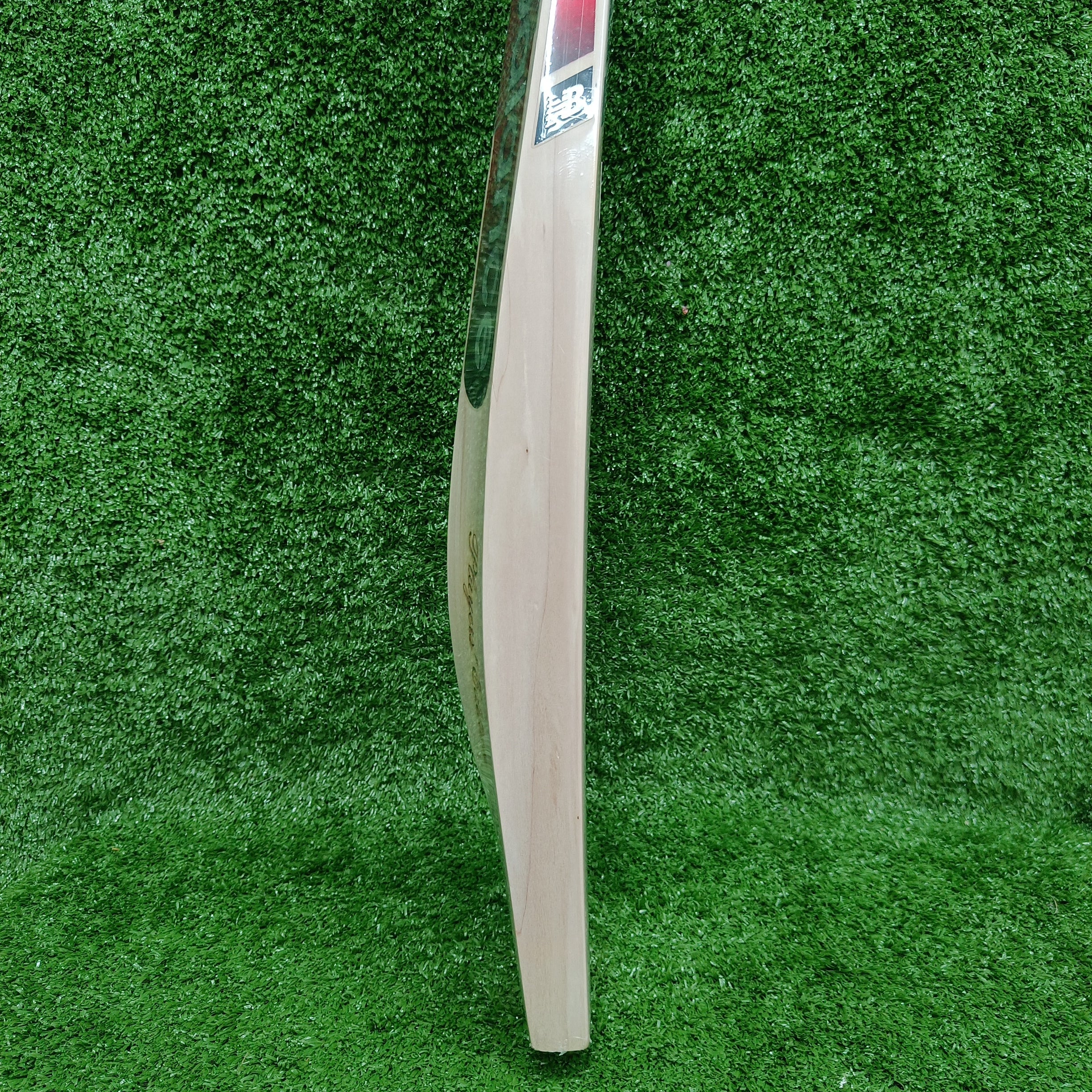 NB TC 1260 Players Edition English Willow Cricket Bat