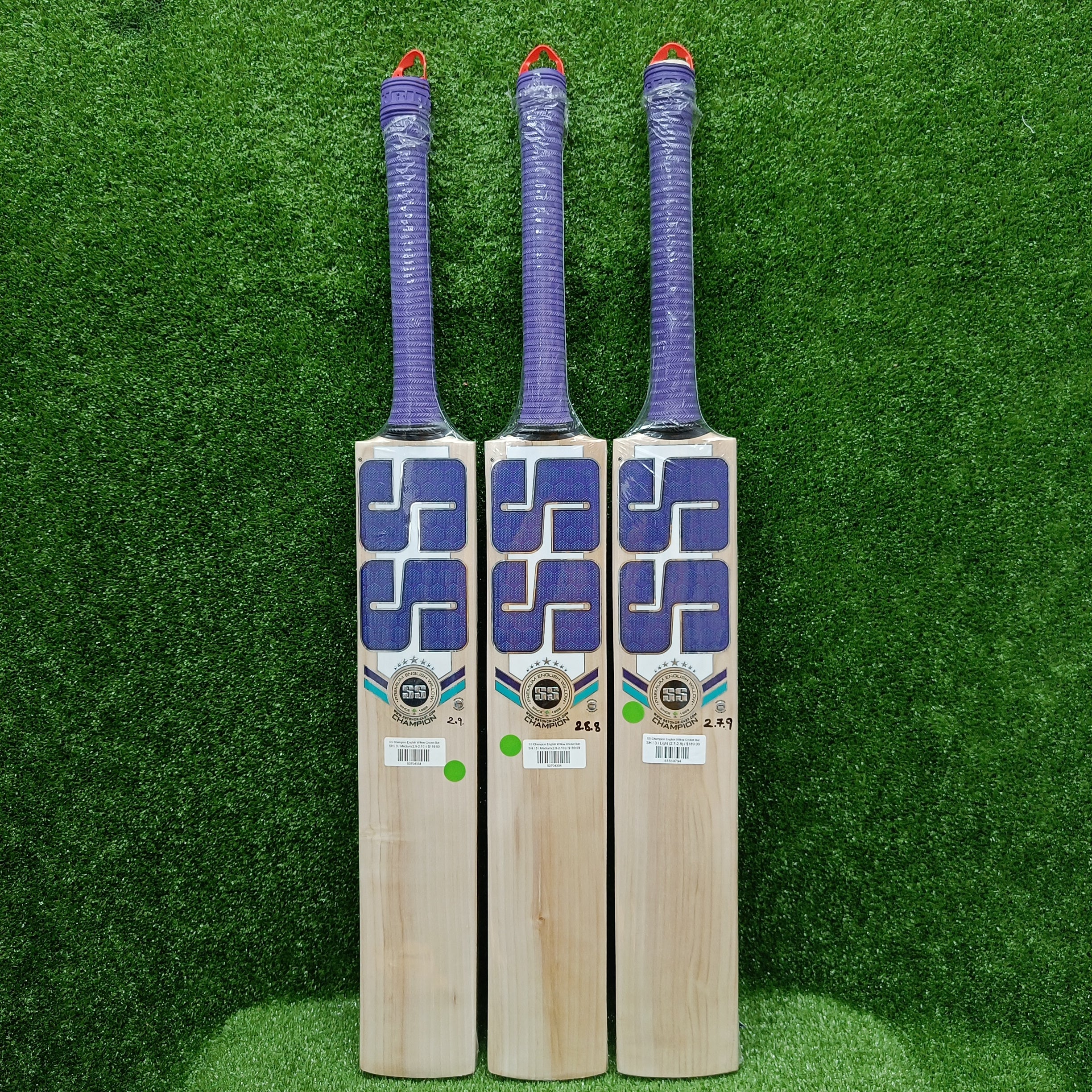 SS Champion English Willow Cricket Bat