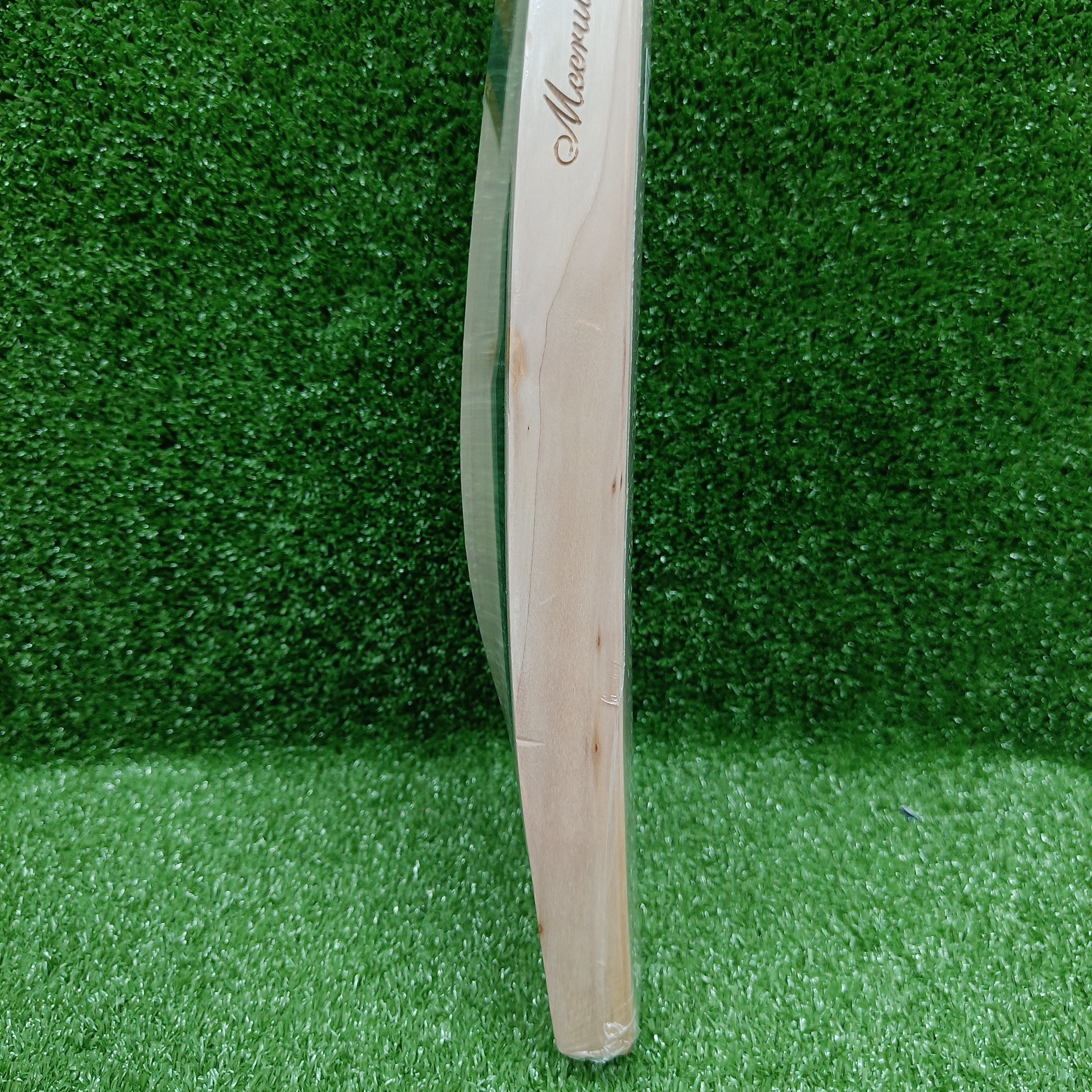 SS Professional English Willow Cricket Bat