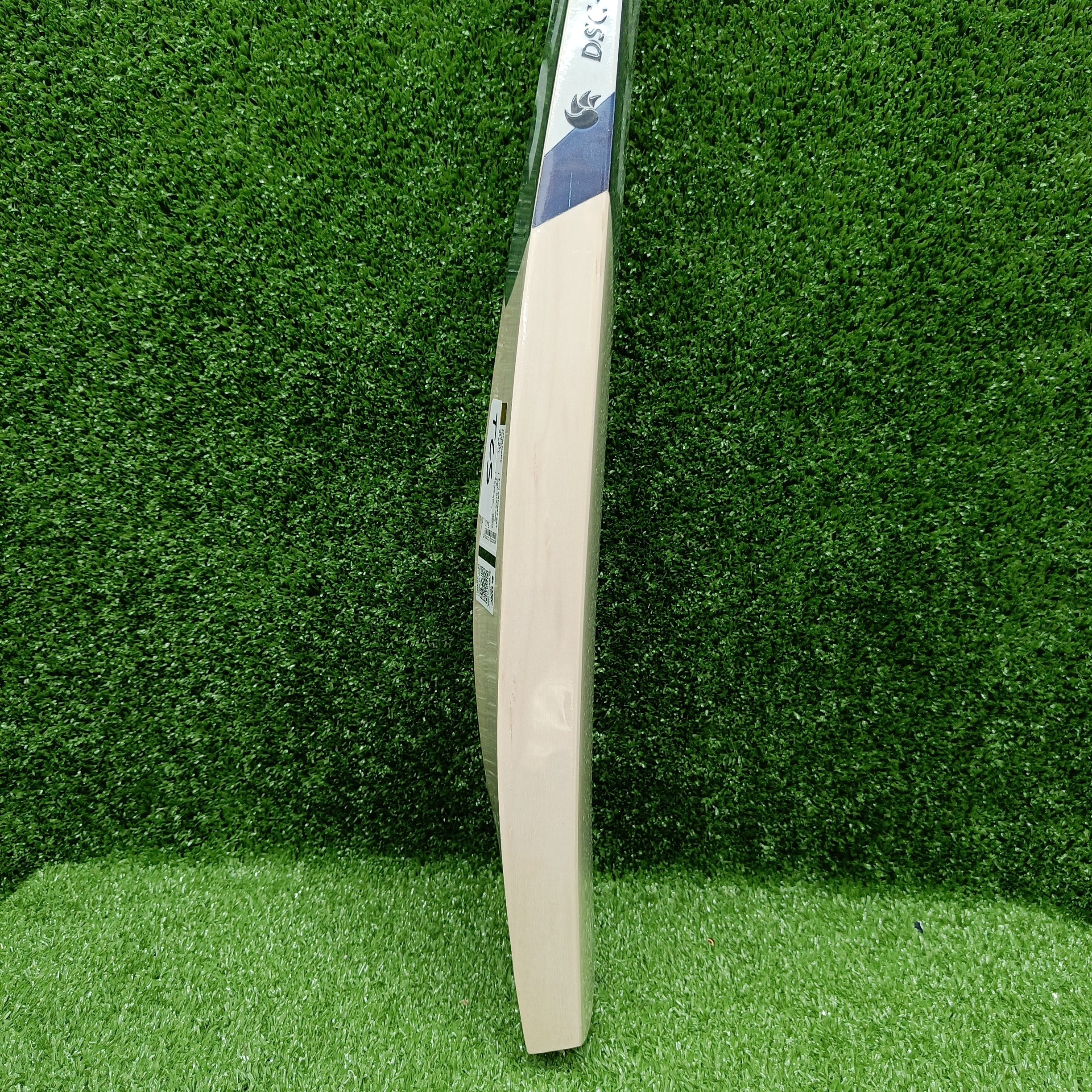 DSC BLAK 300 English Willow Cricket Bat