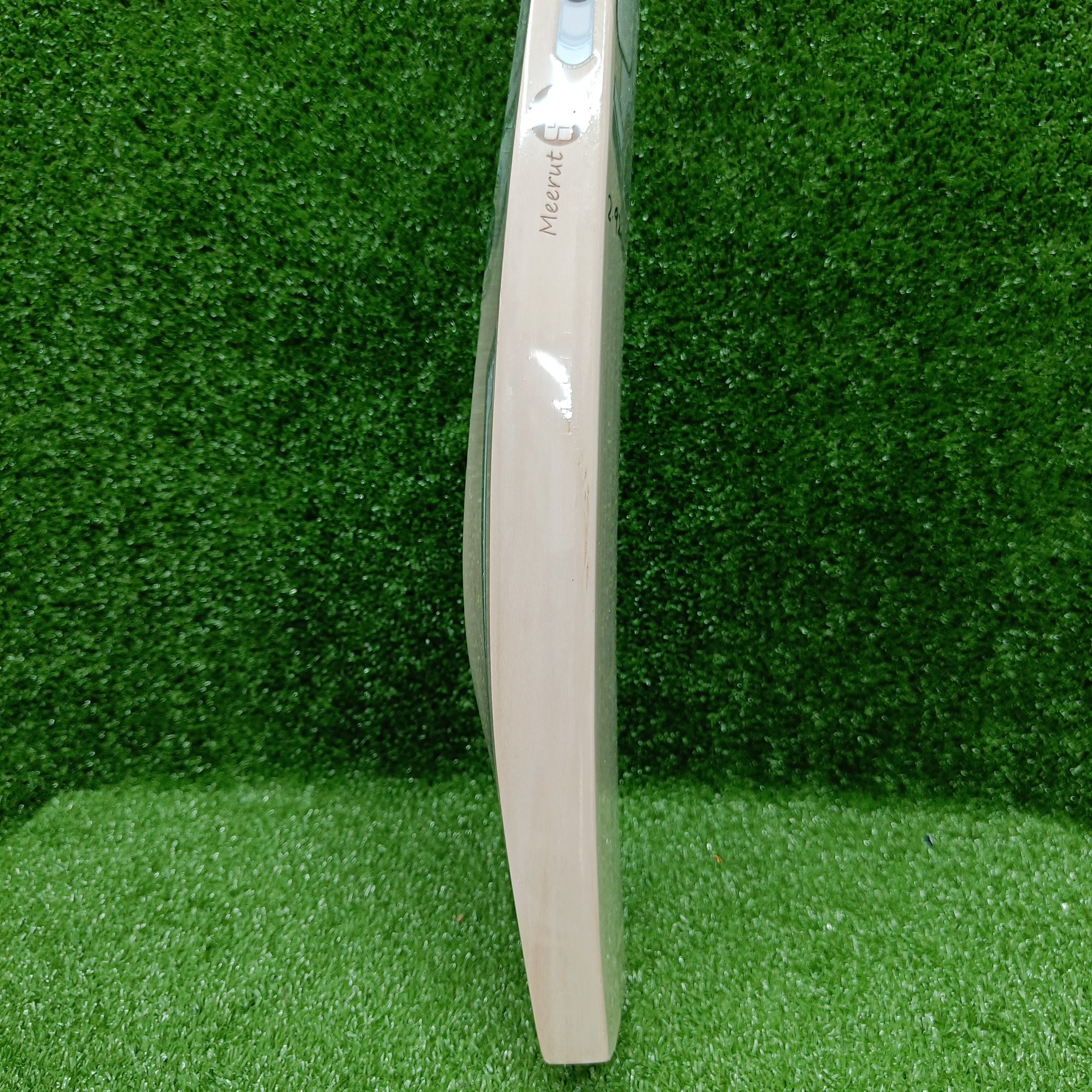 SS PRO 1.0 English Willow Cricket Bat