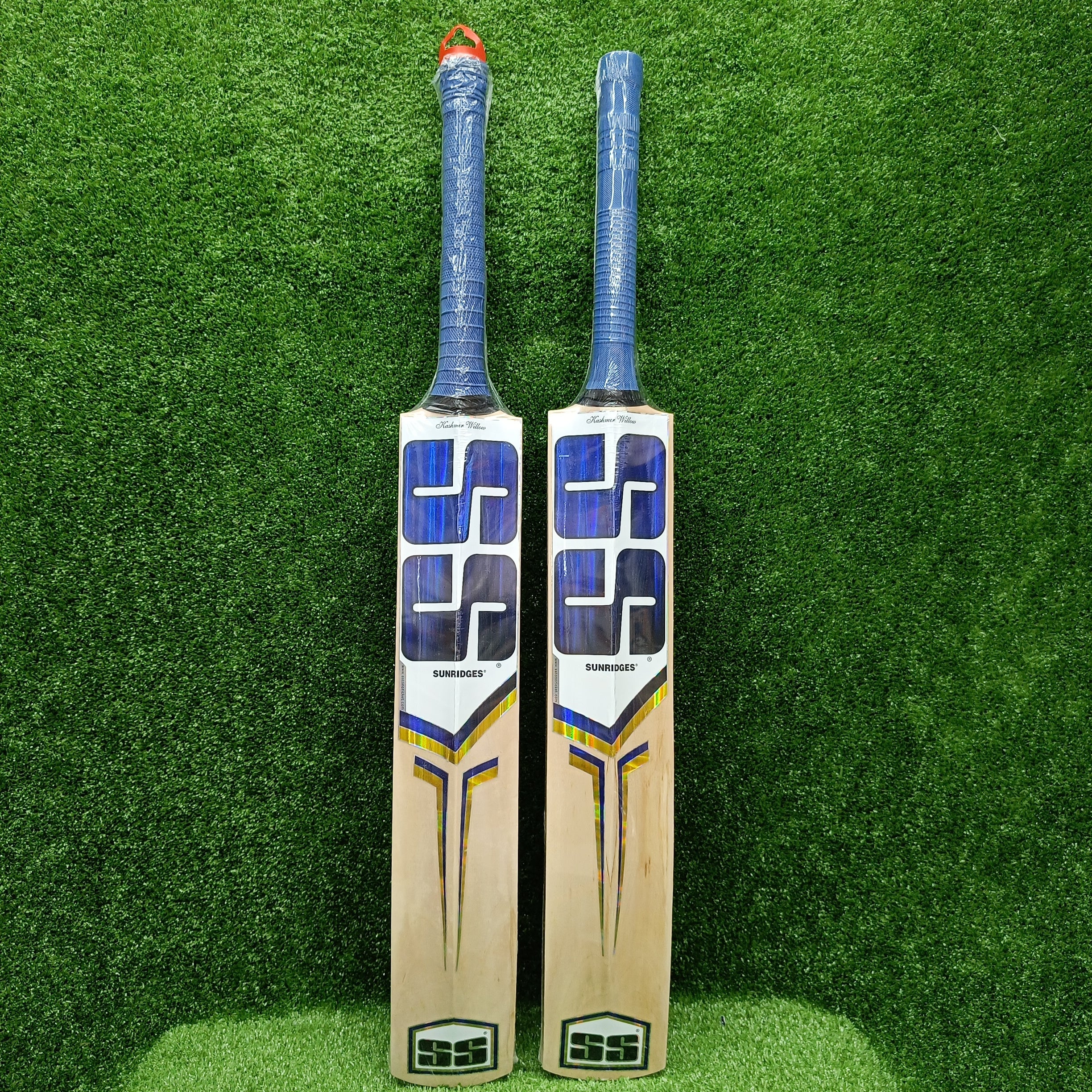 SS Sky Kashmir Willow Cricket Bat