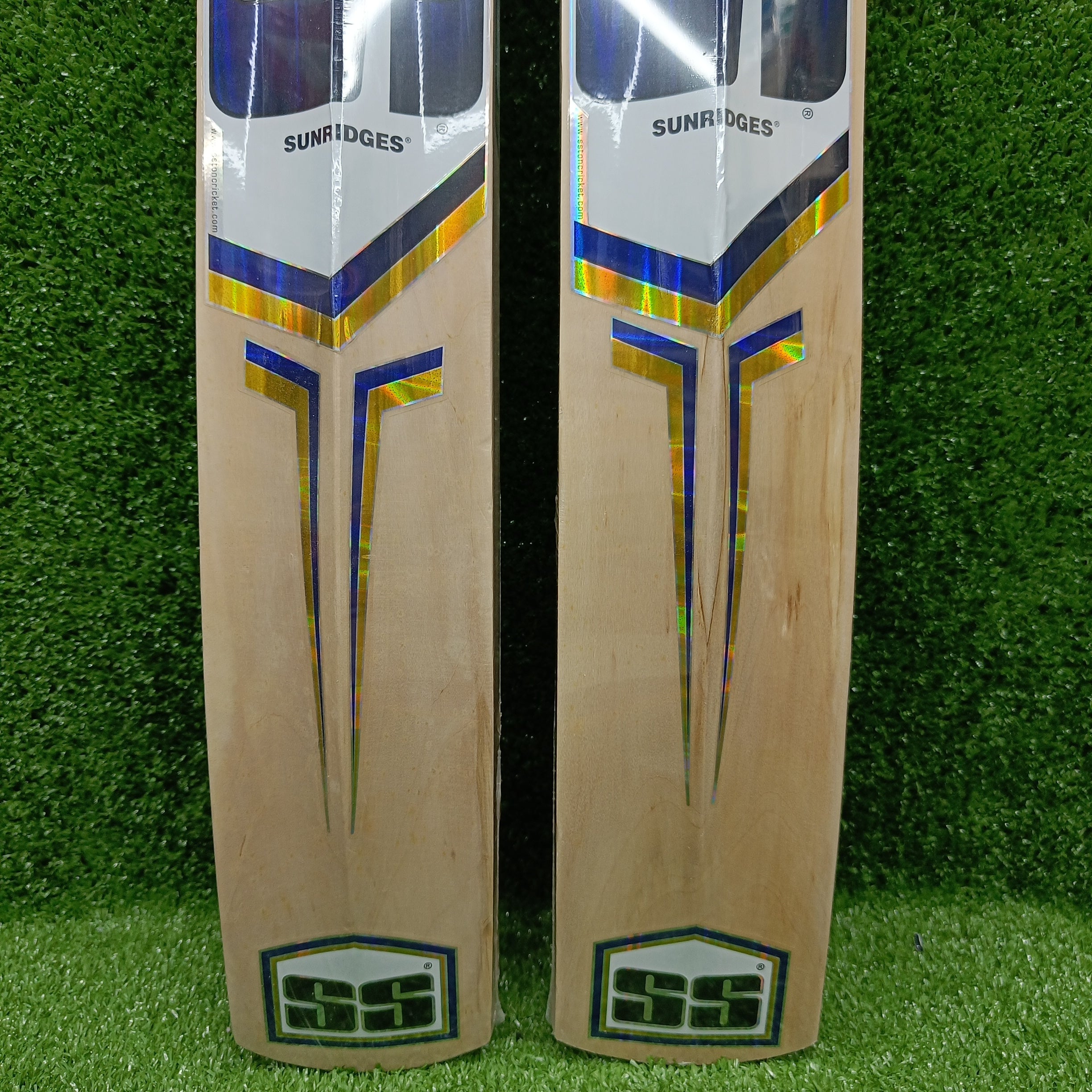 SS Sky Kashmir Willow Cricket Bat