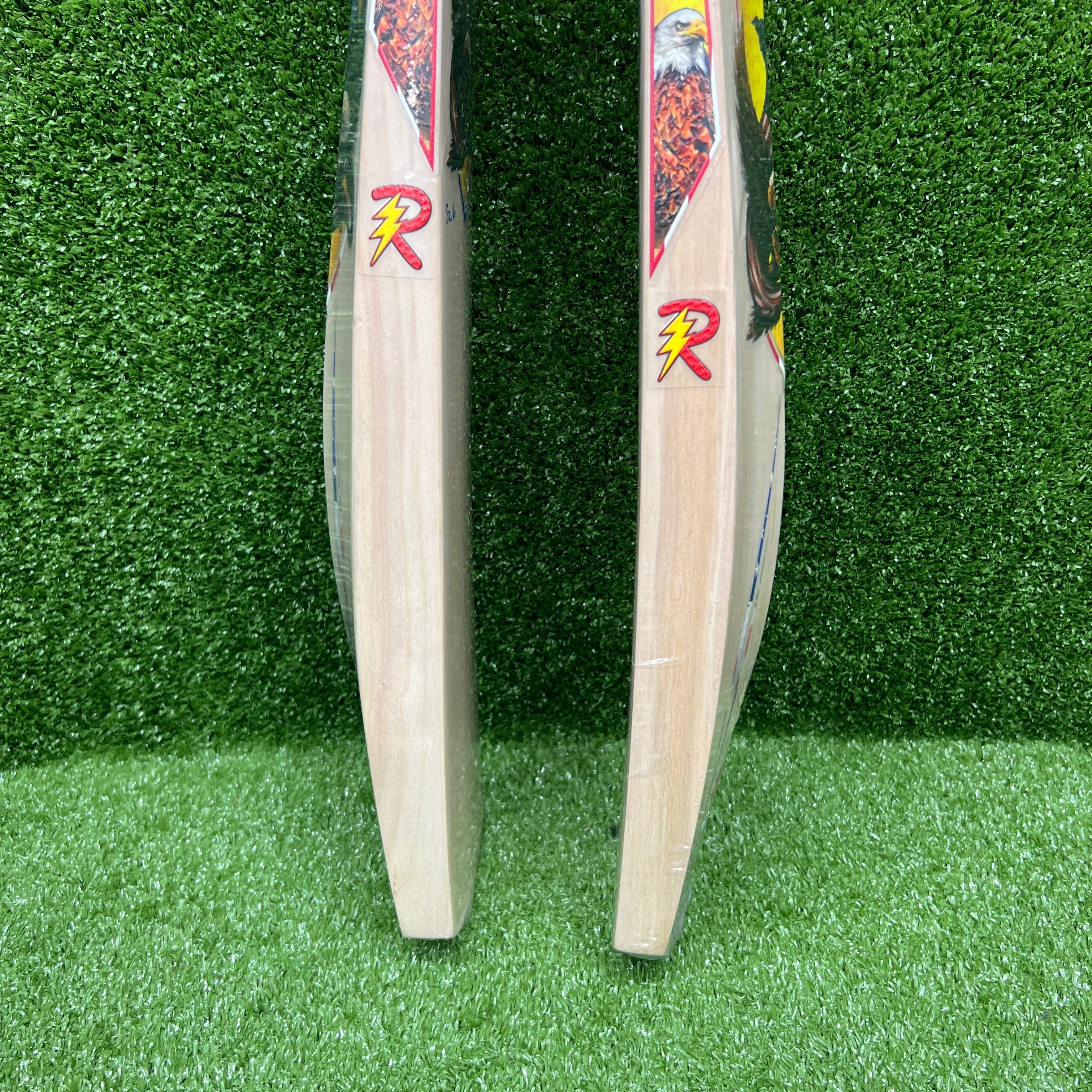 RAYDN Eagle Junior/Youth (Surya Kumar Yadav Profile) Premium Kashmir Willow Cricket Bat