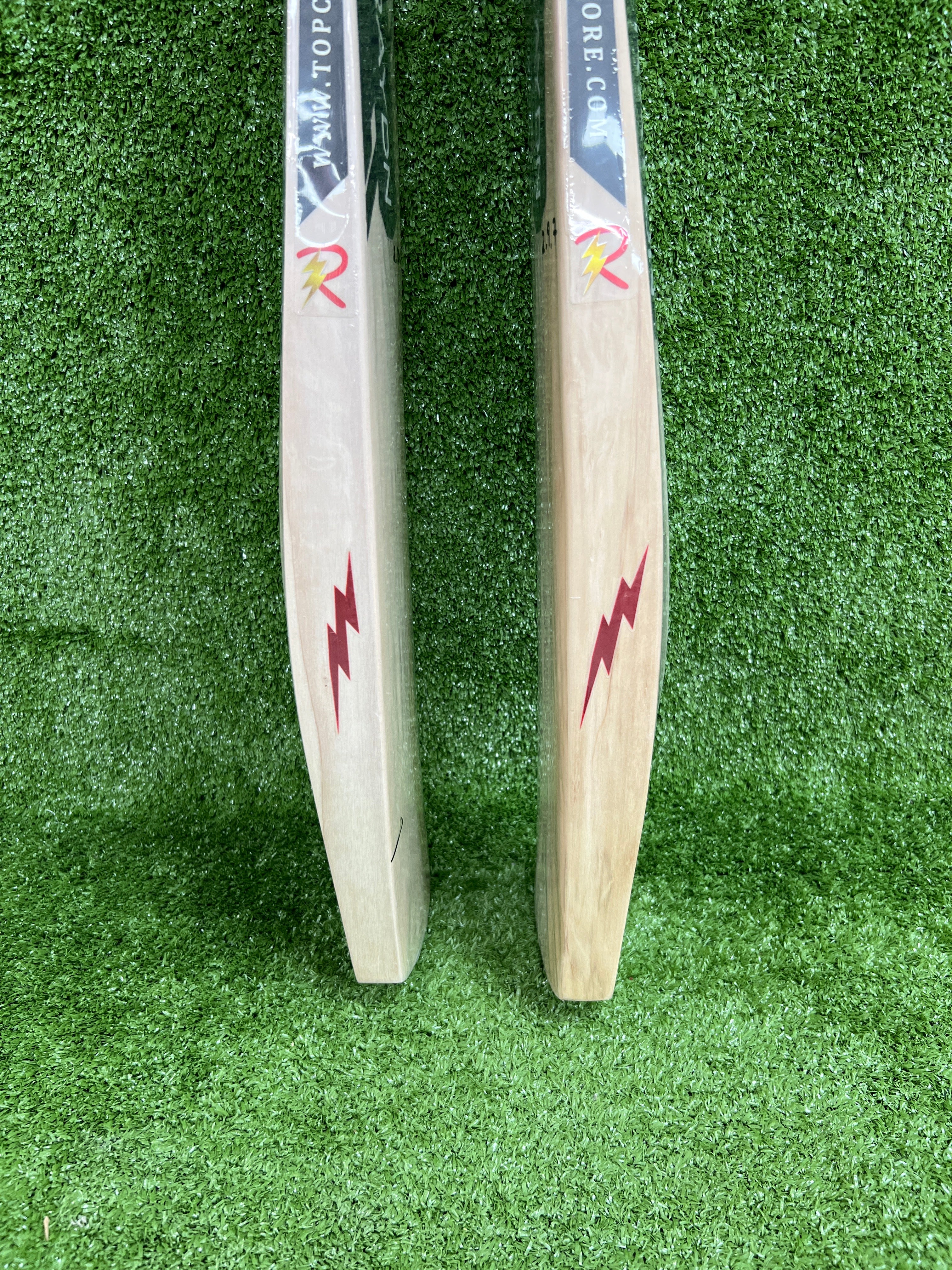 Raydn Grade 1 English Willow Cricket Bat