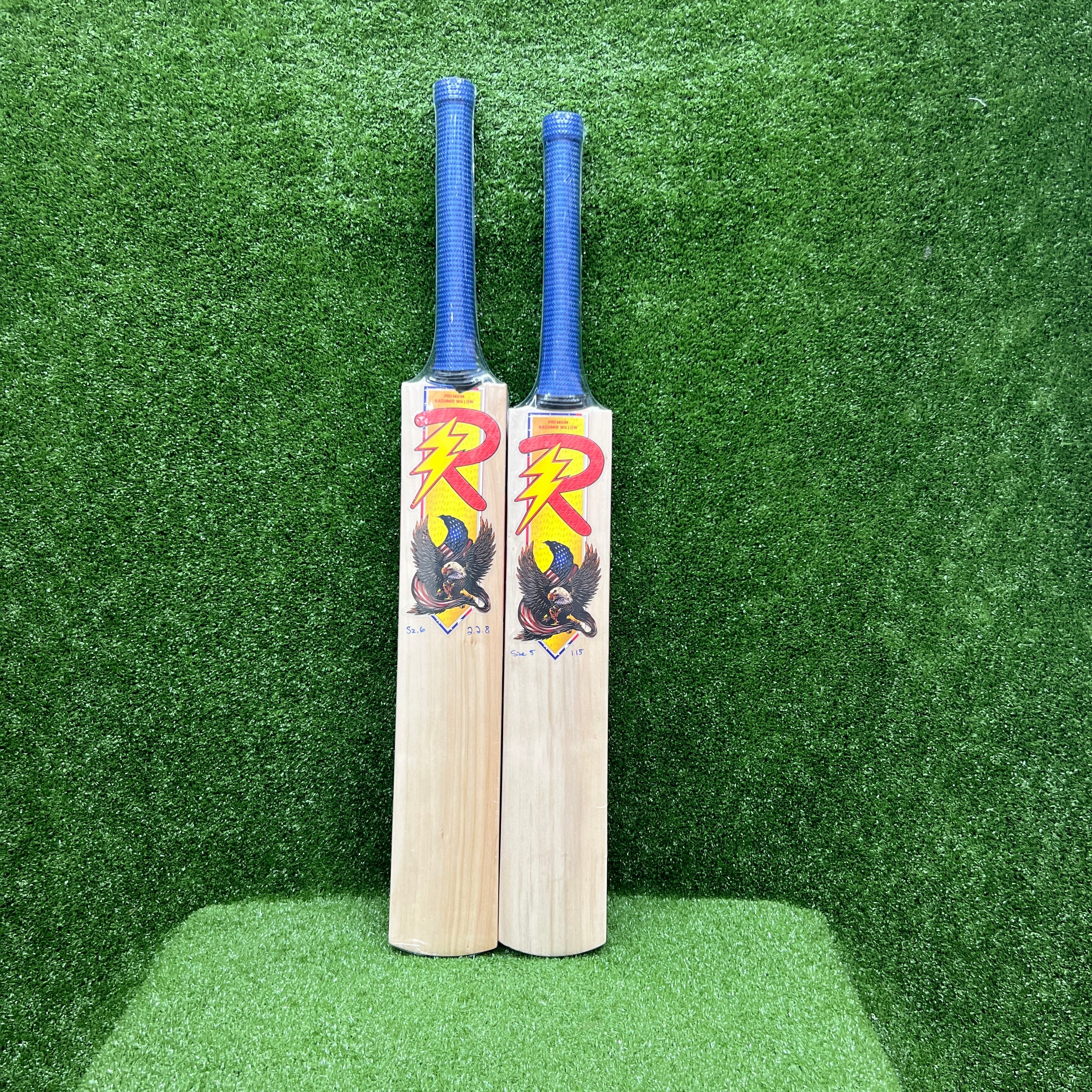 RAYDN Eagle Junior/Youth (Surya Kumar Yadav Profile) Premium Kashmir Willow Cricket Bat