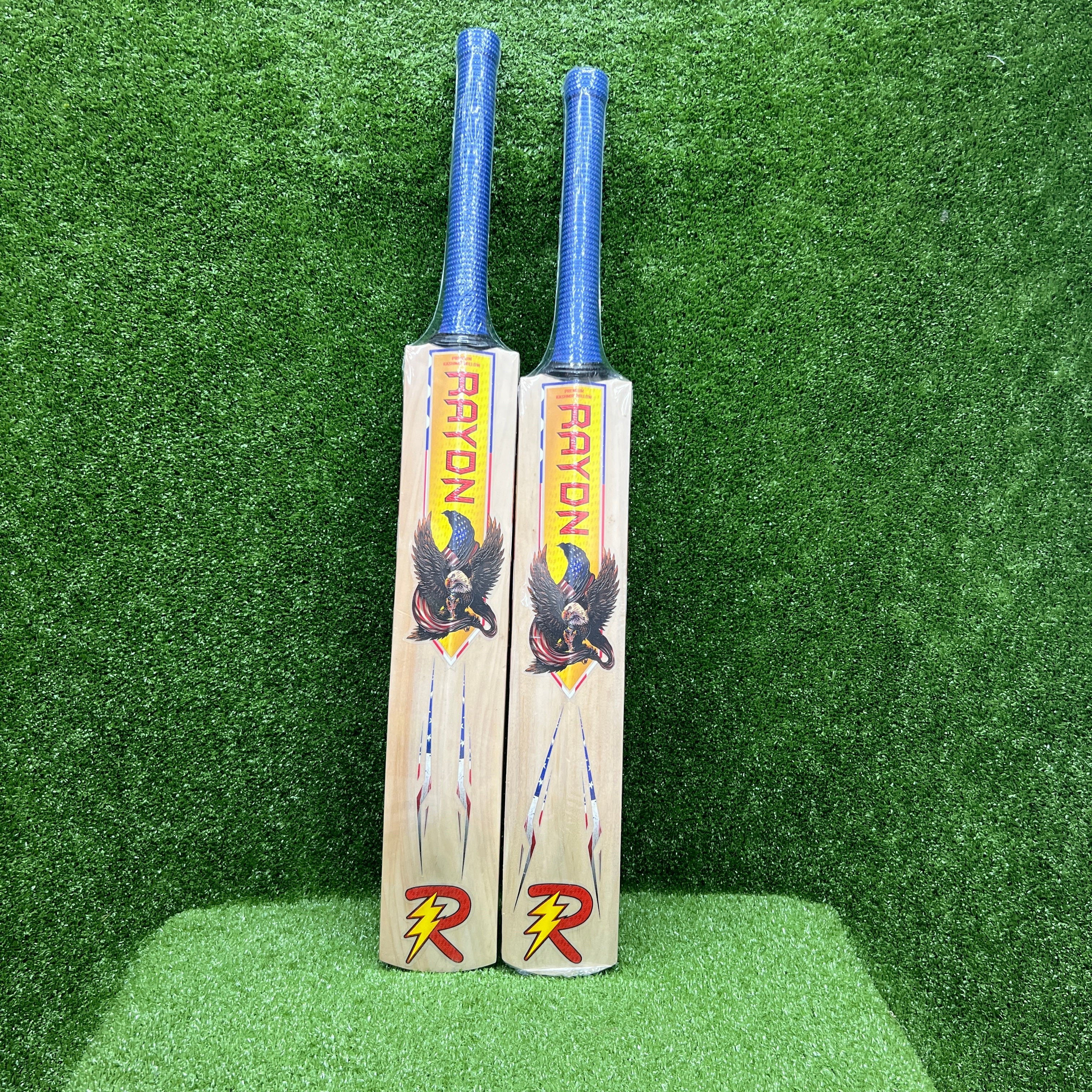 RAYDN Eagle Junior/Youth (Surya Kumar Yadav Profile) Premium Kashmir Willow Cricket Bat