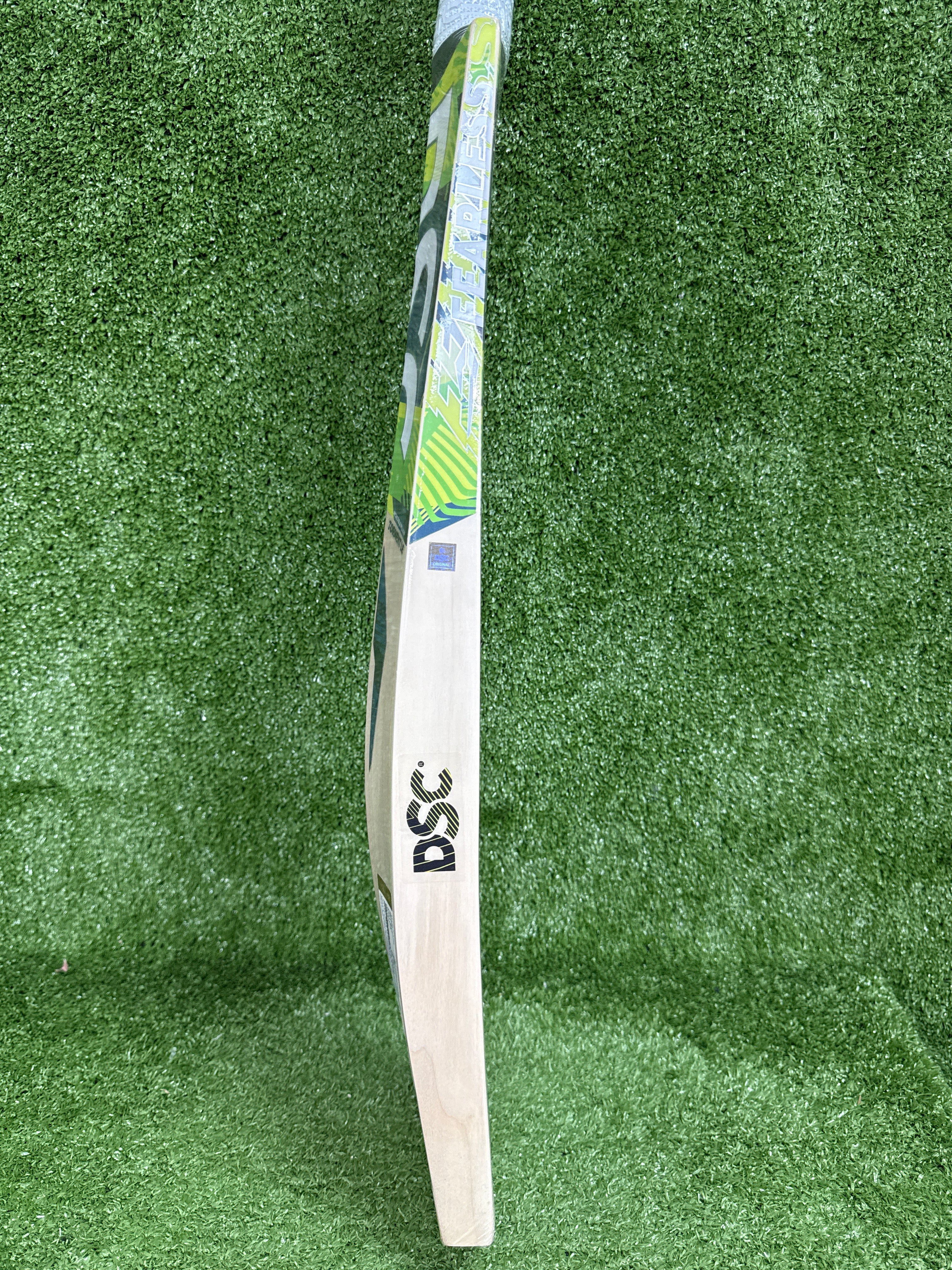 DSC Torment LE Incredible Willow Cricket Bat – Short Handle