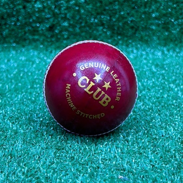 Raydn Red Leather Cricket Ball_1