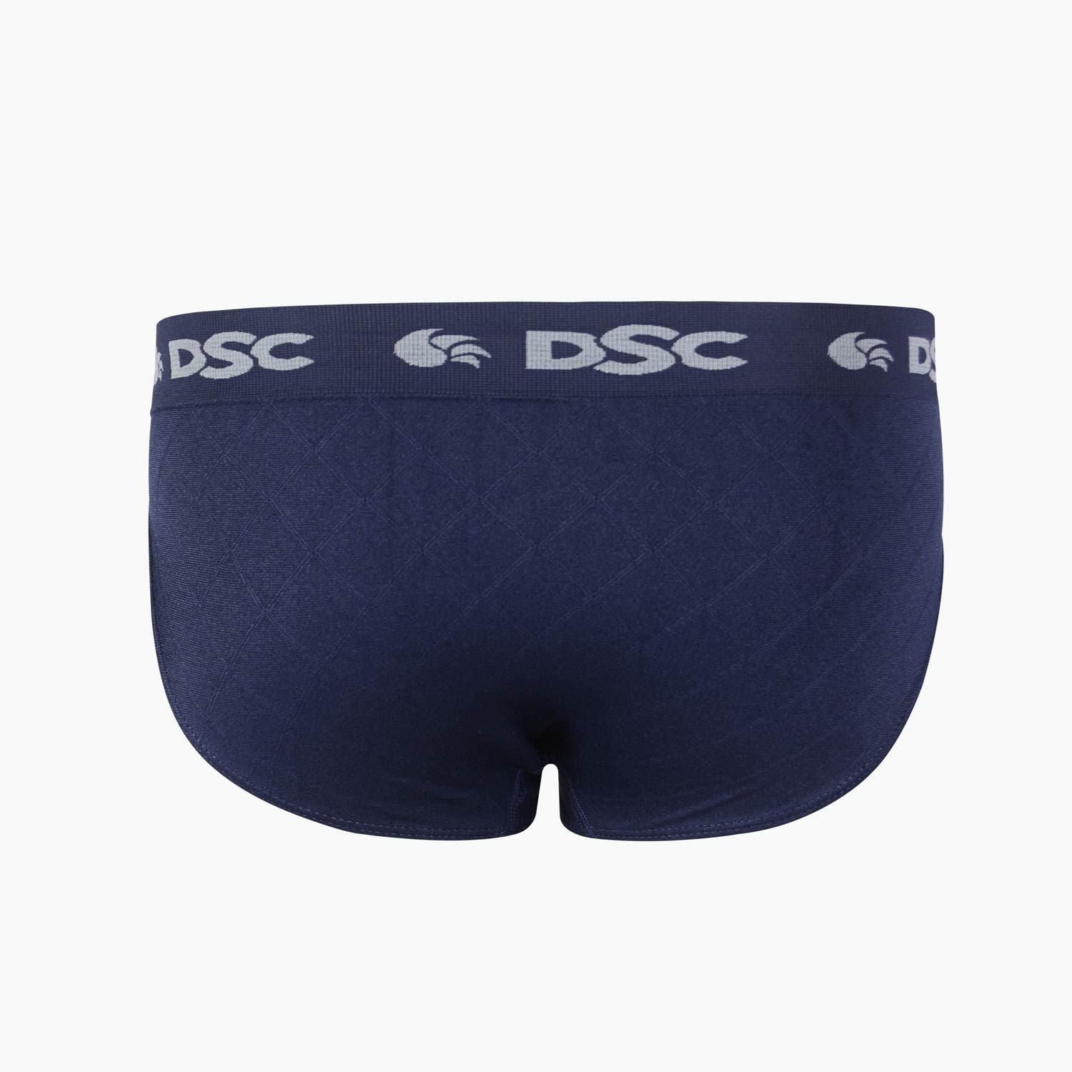 DSC Cricket Briefs