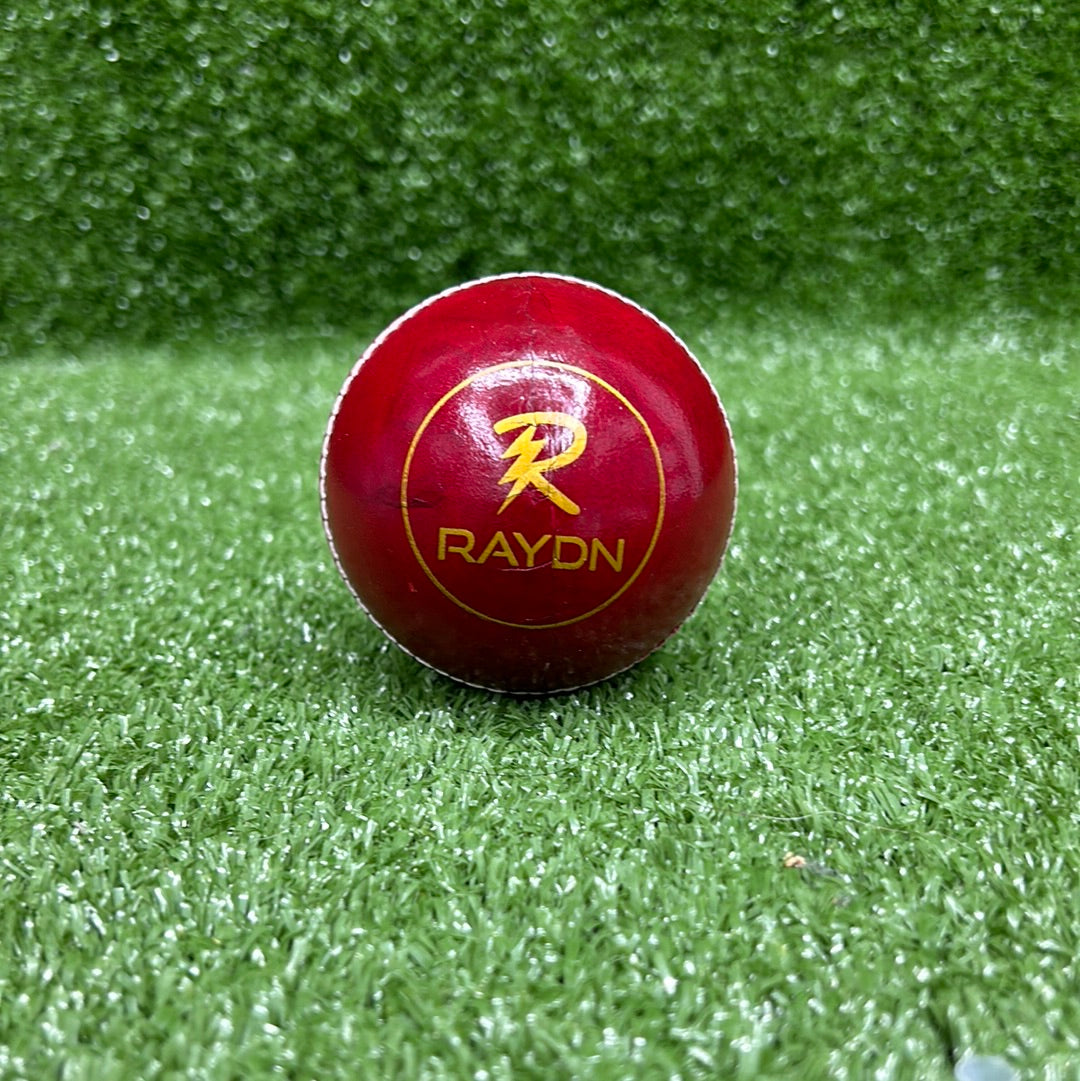 Raydn Red Leather Cricket Ball_3