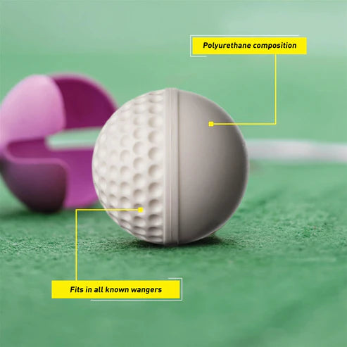 SG Swinga Cricket Ball - White - with description