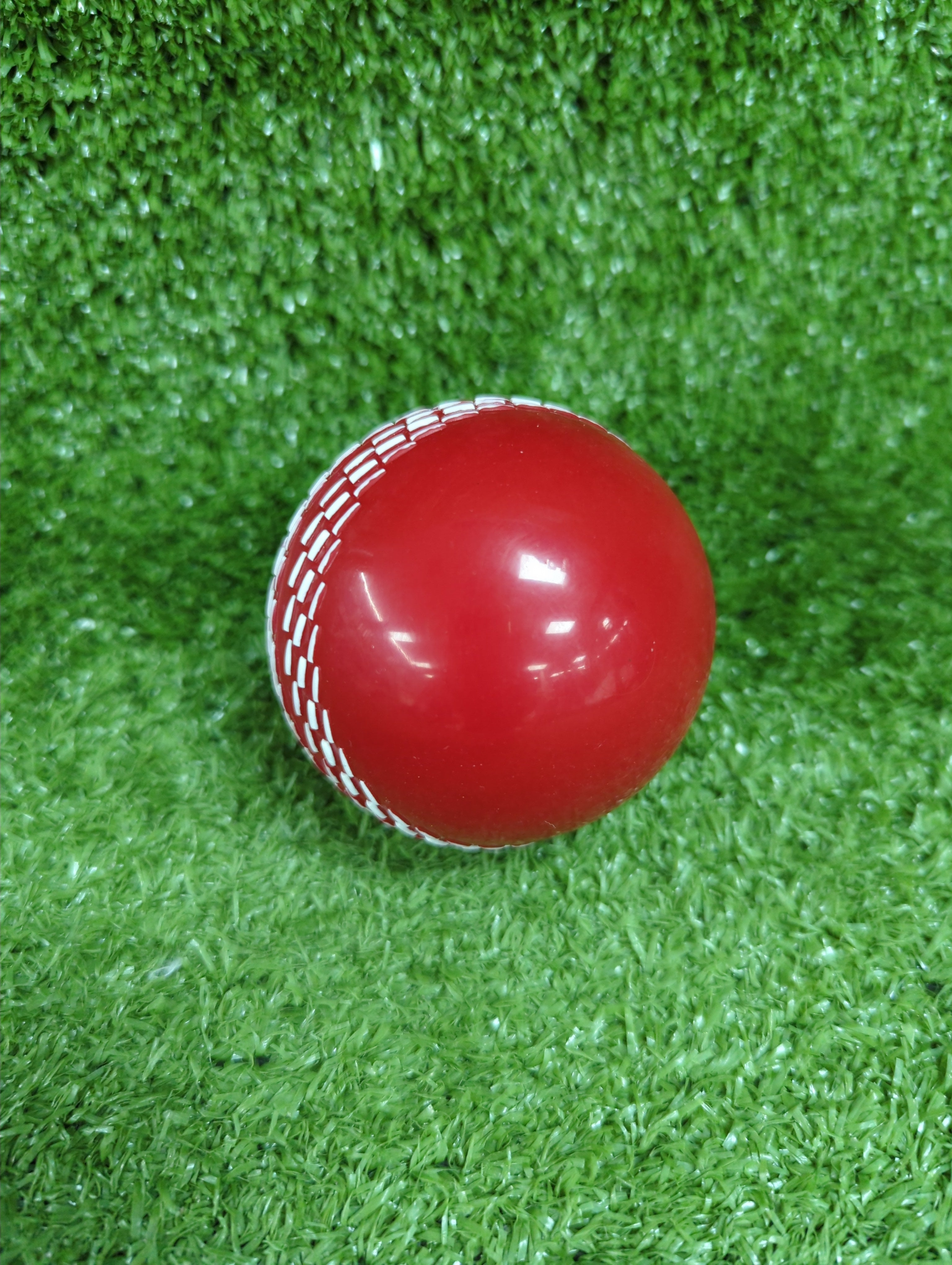 SS Poly Soft Cricket Ball - Back