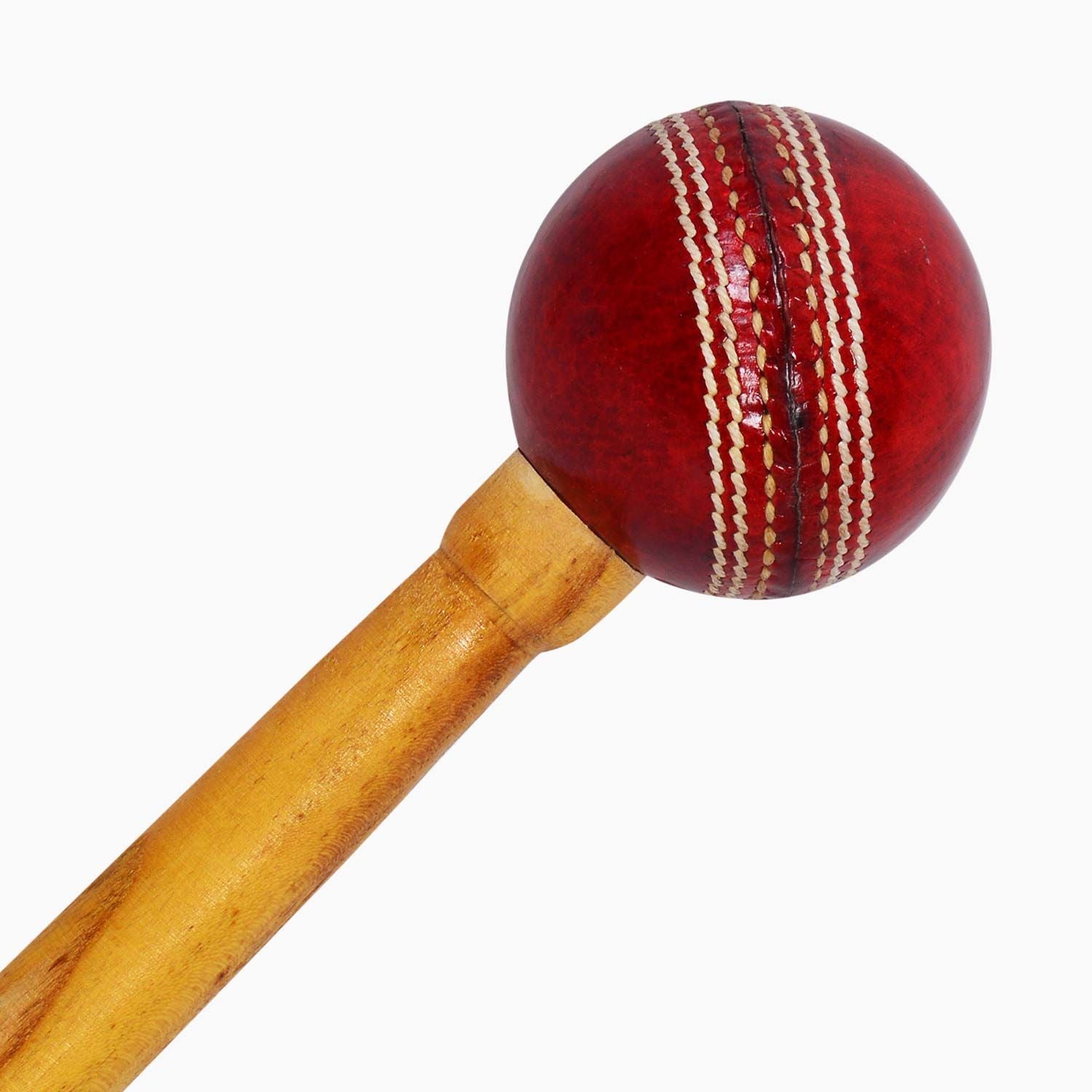 DSC Leather Ball Cricket Bat Mallet