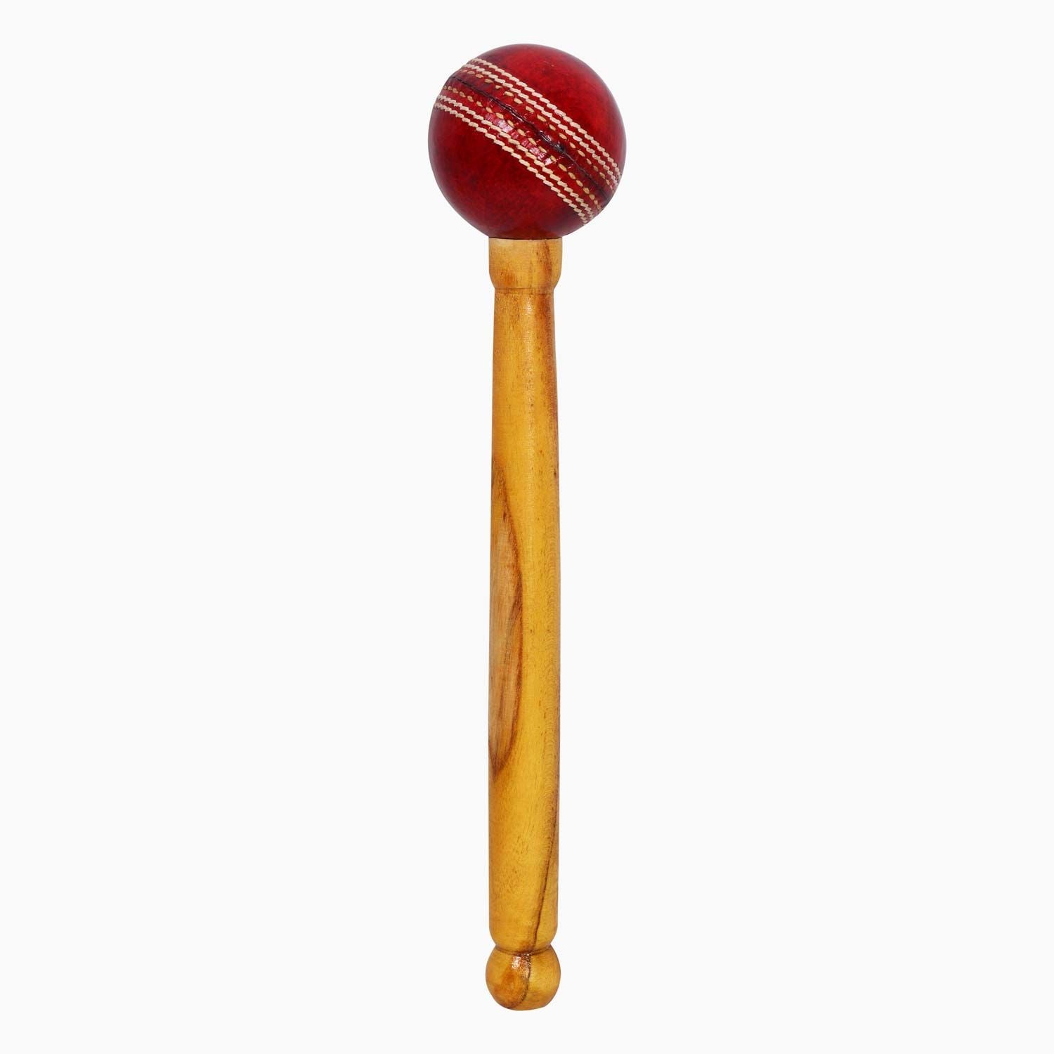 DSC Leather Ball Cricket Bat Mallet