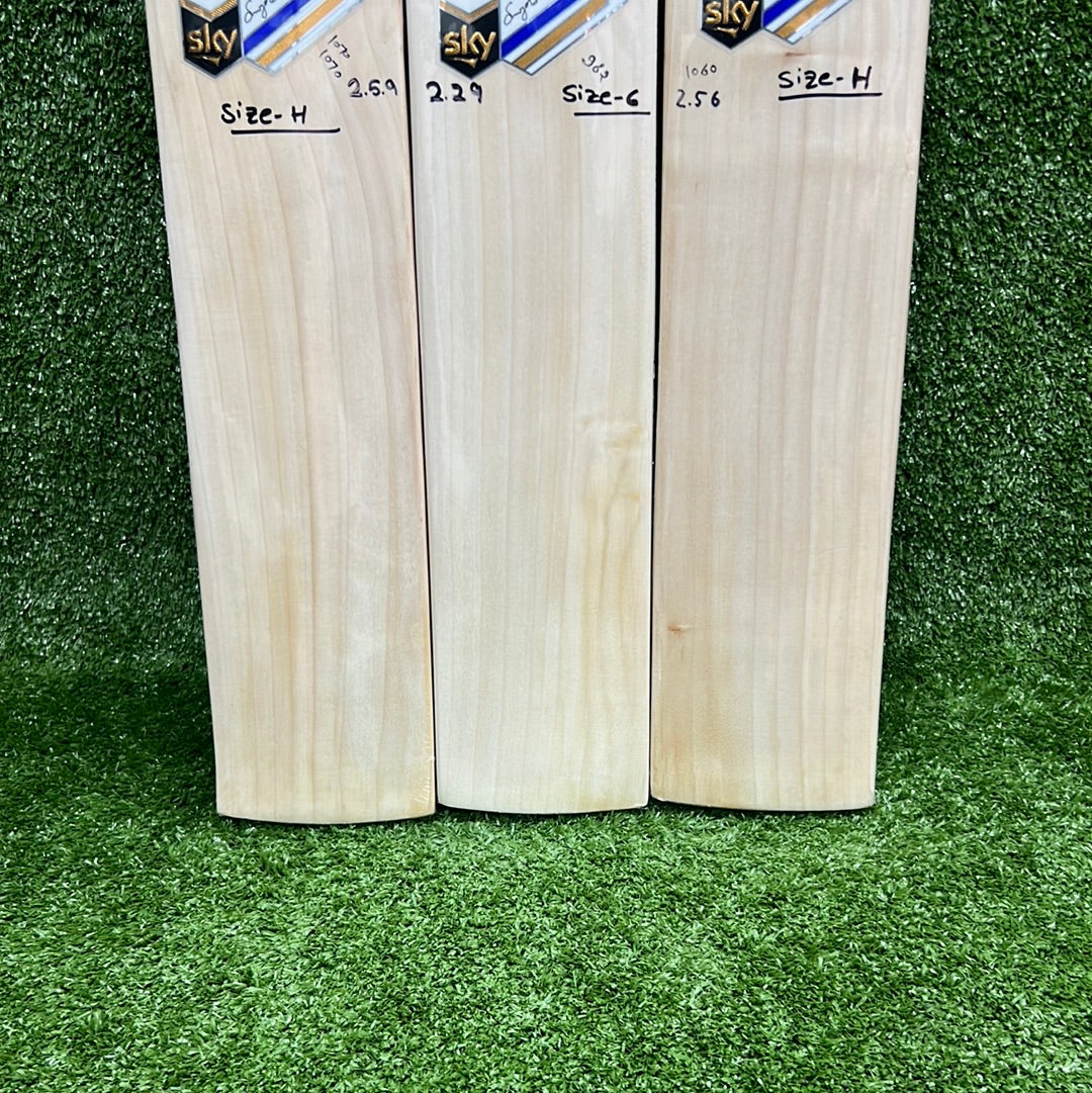 SS Sky 360 Junior Cricket Bat