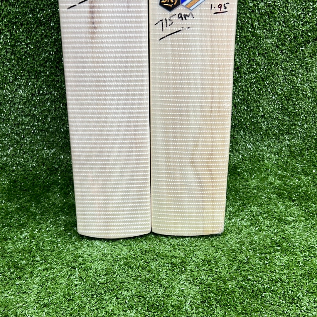 SS Player Colt Junior / Youth Cricket Bat